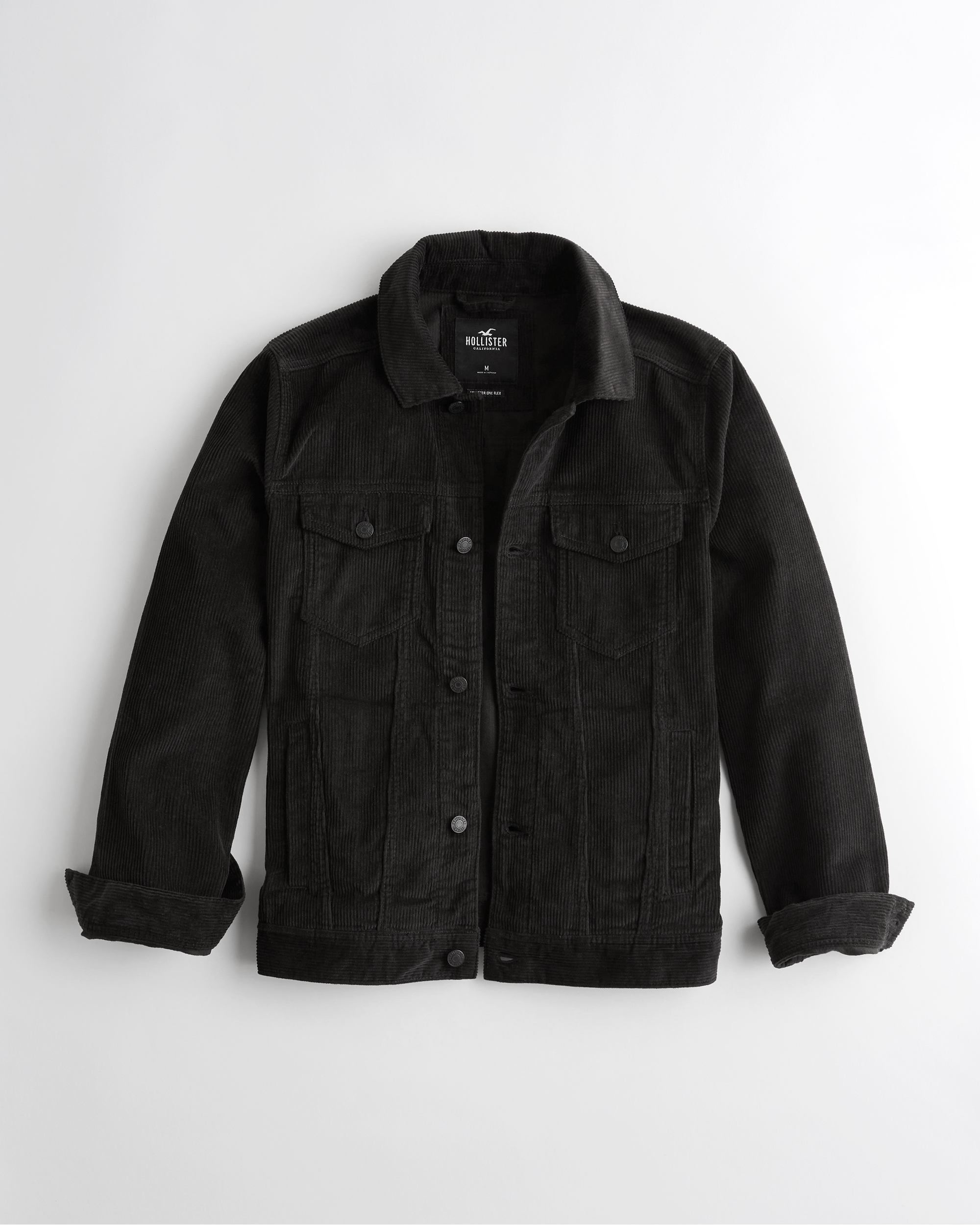hollister jackets usa