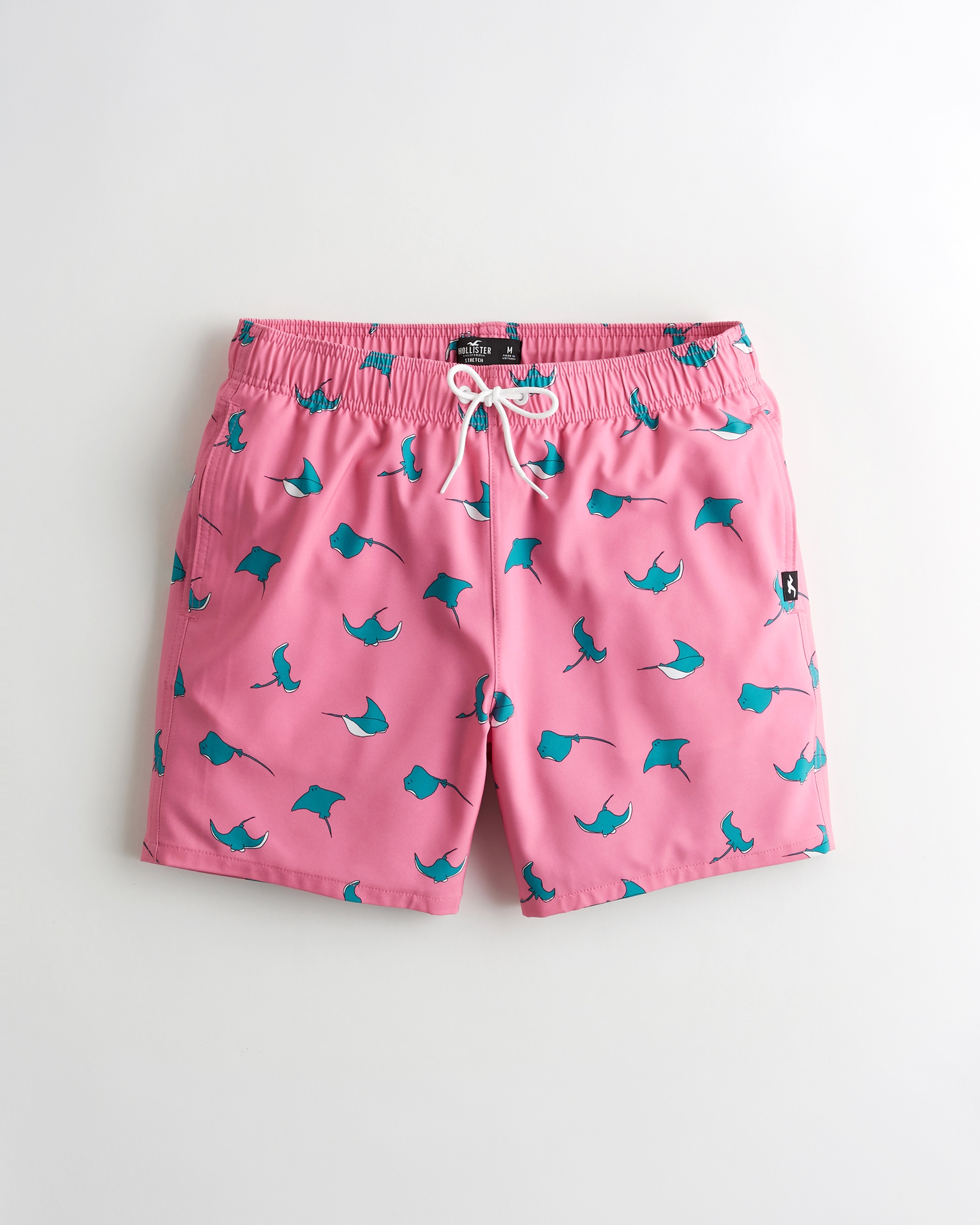 hollister mens swimwear