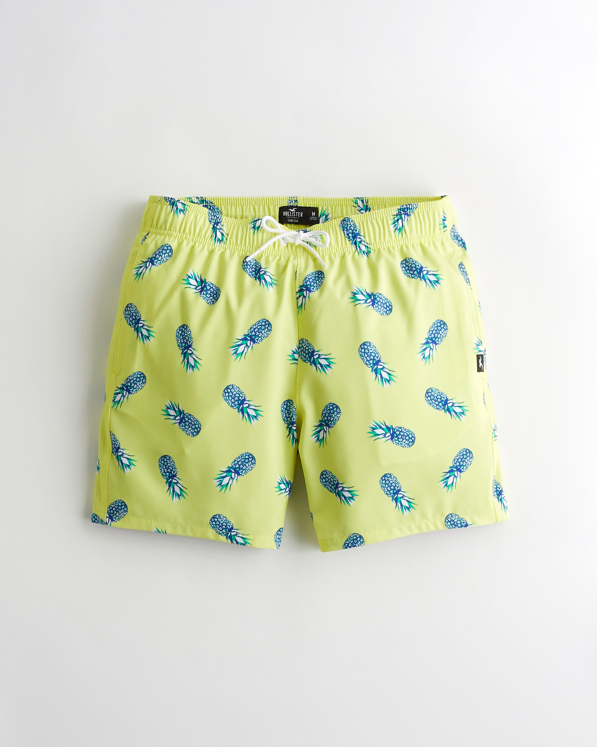 hollister bathing suits mens