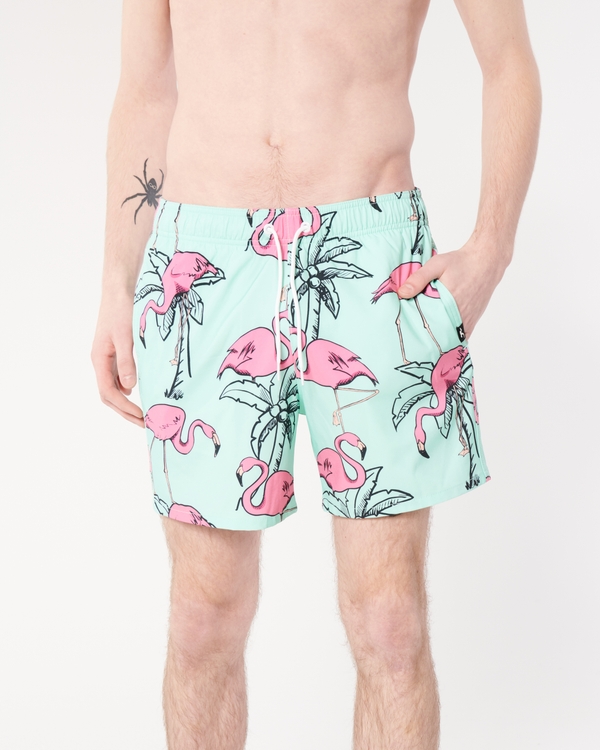 Hollister best sale mens swimwear