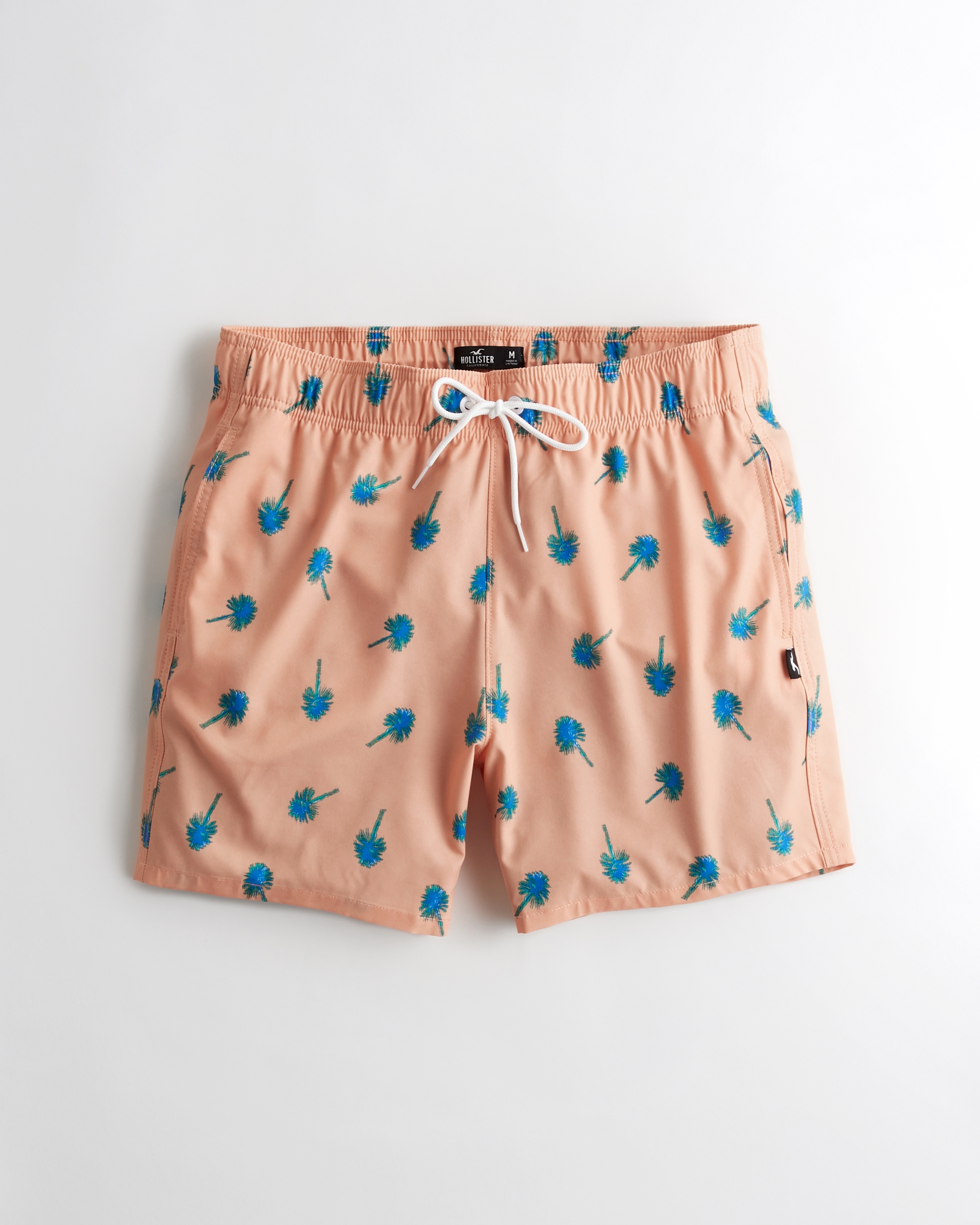 hollister swimming trunks
