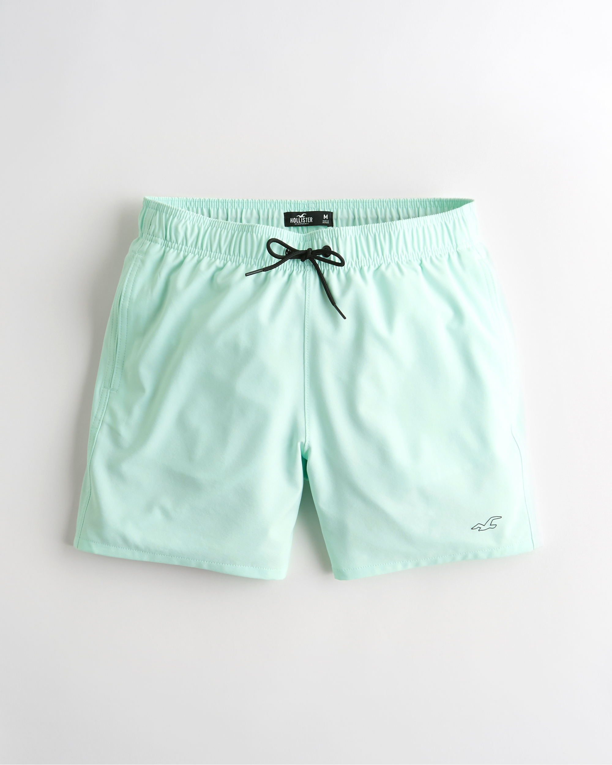 hollister guard fit swim trunks
