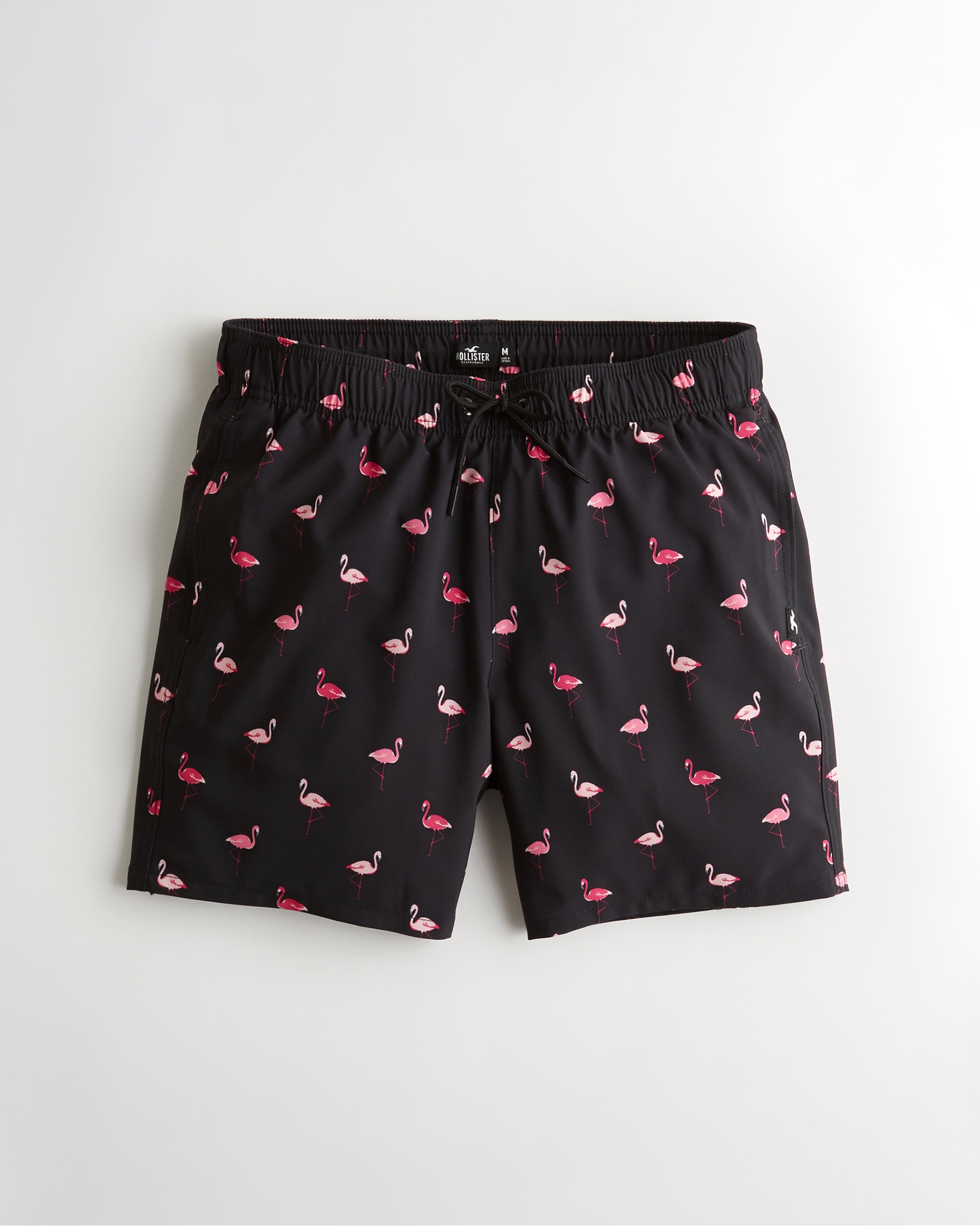 hollister mens swim shorts