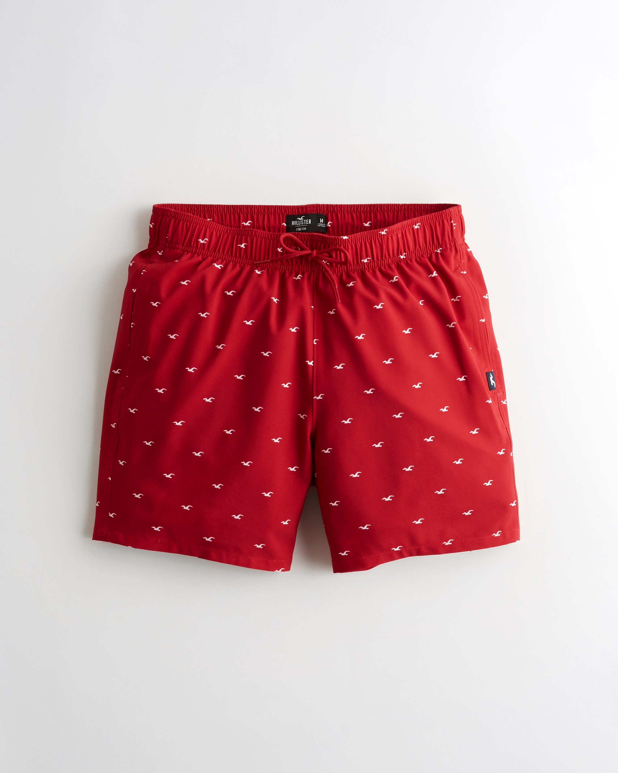 hollister mens swimwear