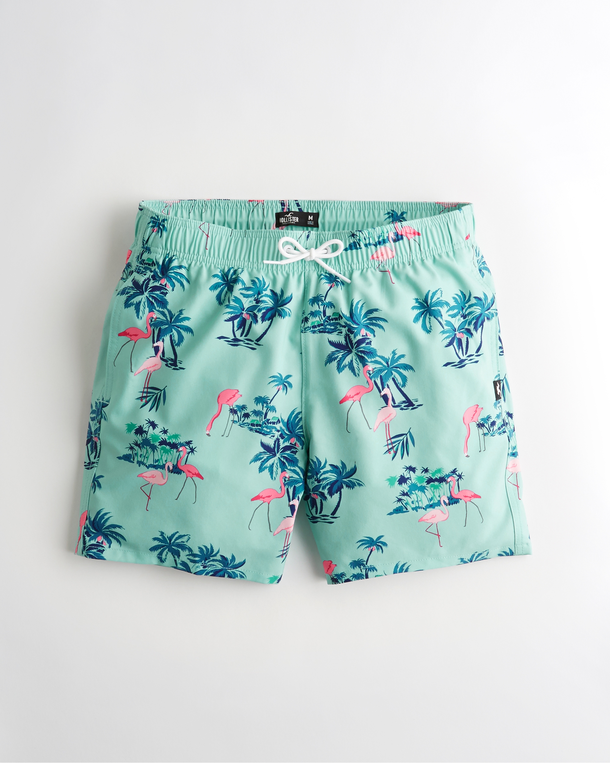 hollister guard fit swim trunks