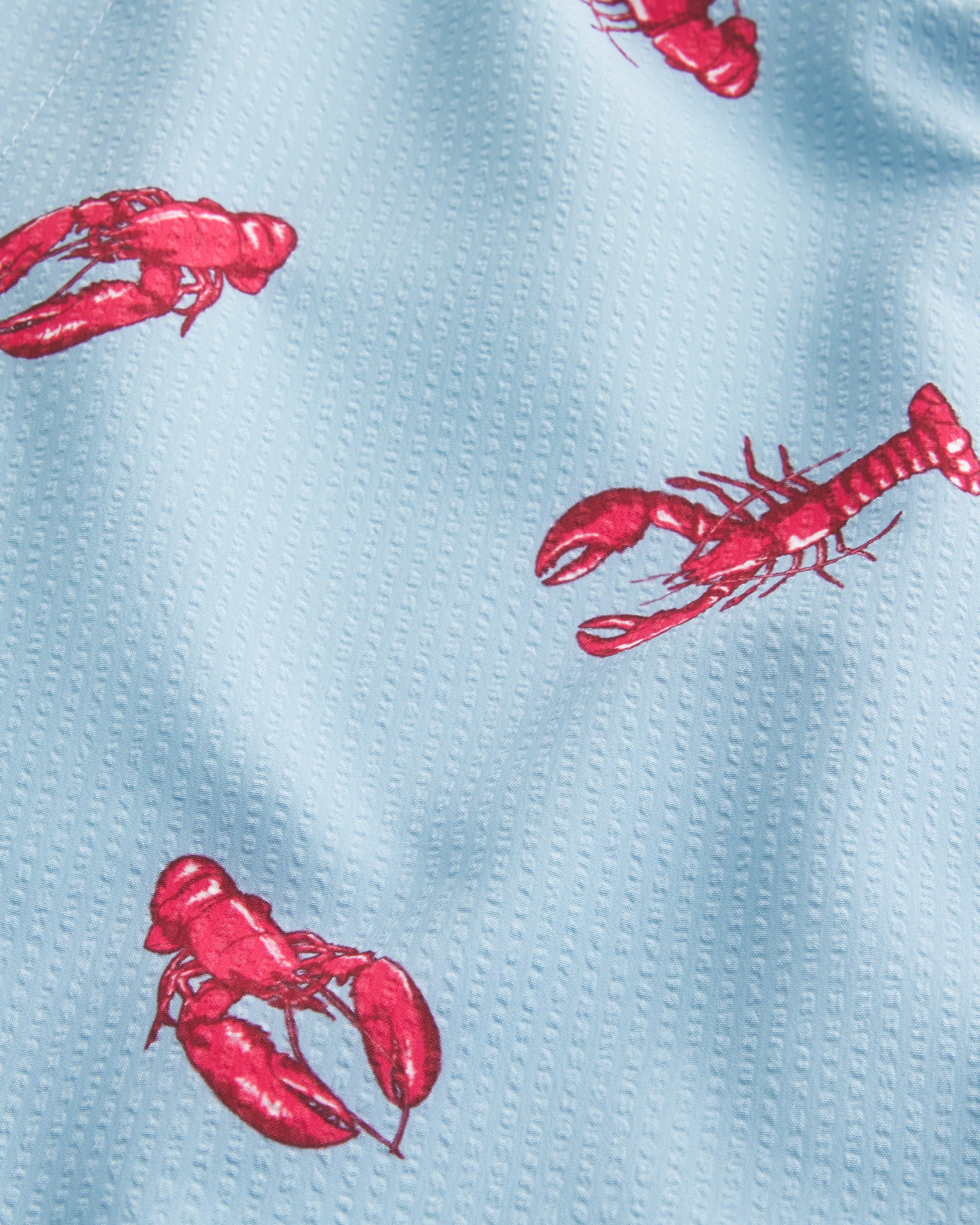 Mid-Thigh Seersucker Swim Trunks