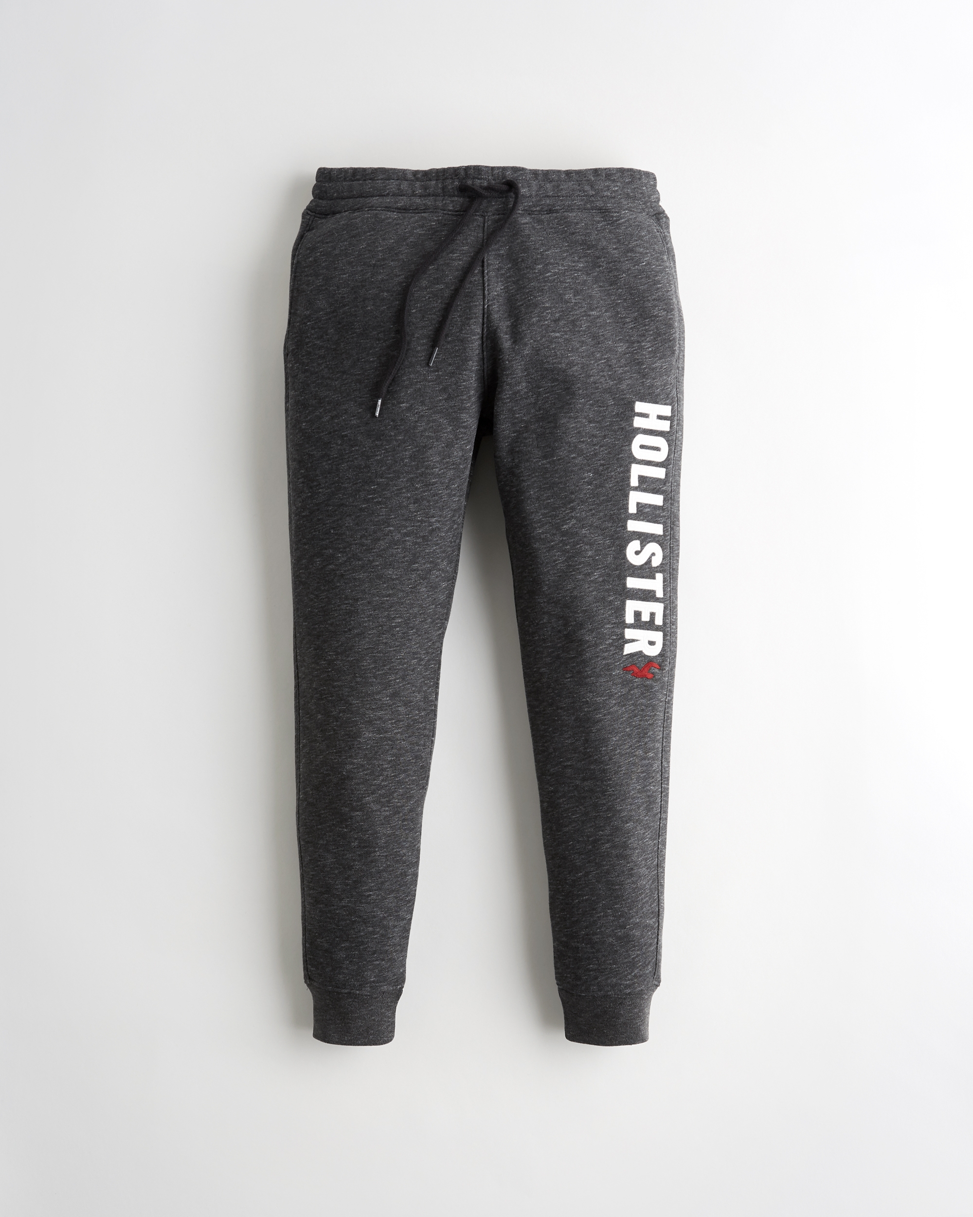 hollister joggers india