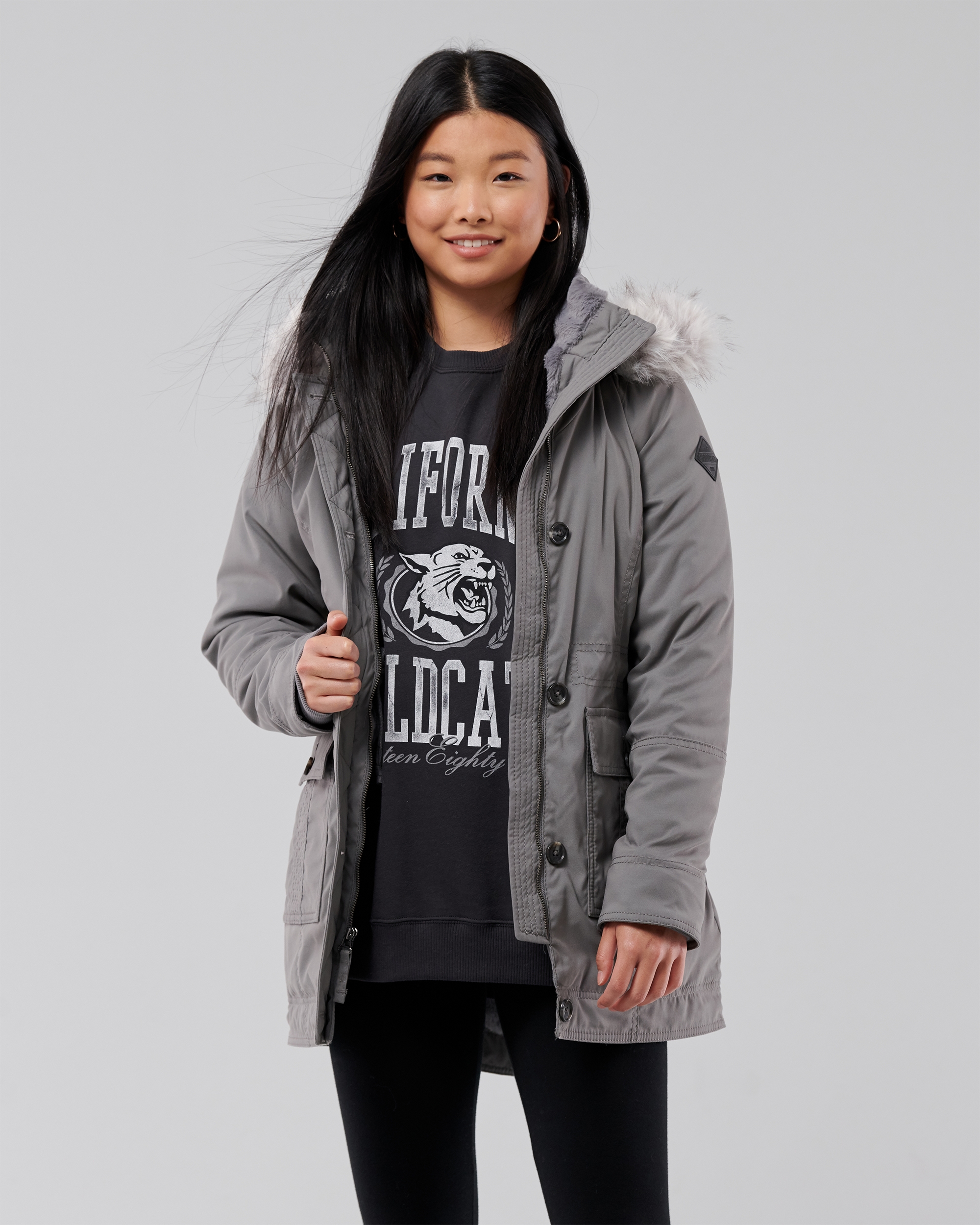 Hollister Teddy Lined Parka