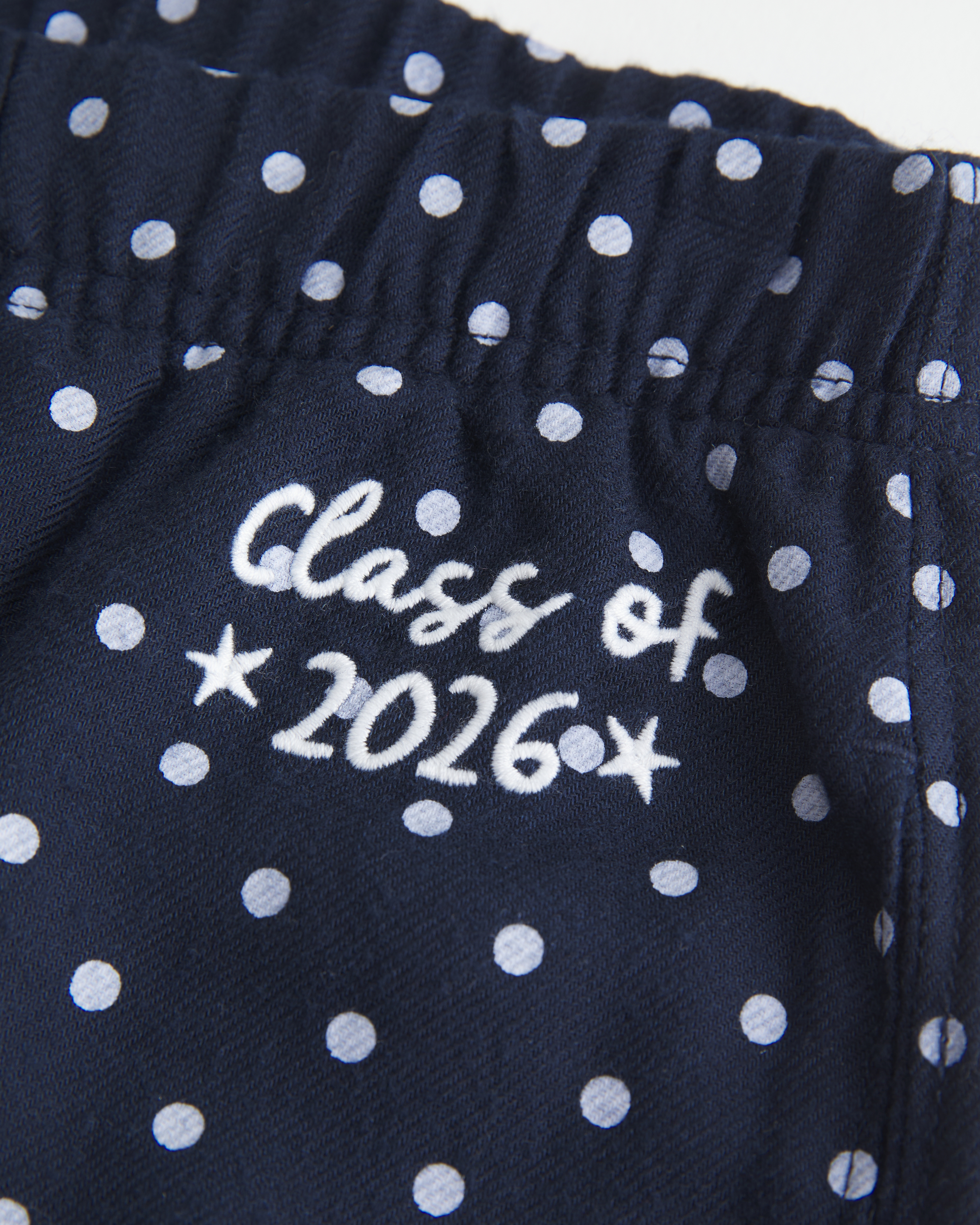 Hollister Flannel Wide-leg Class Of 2026 Graphic Pants In Blue