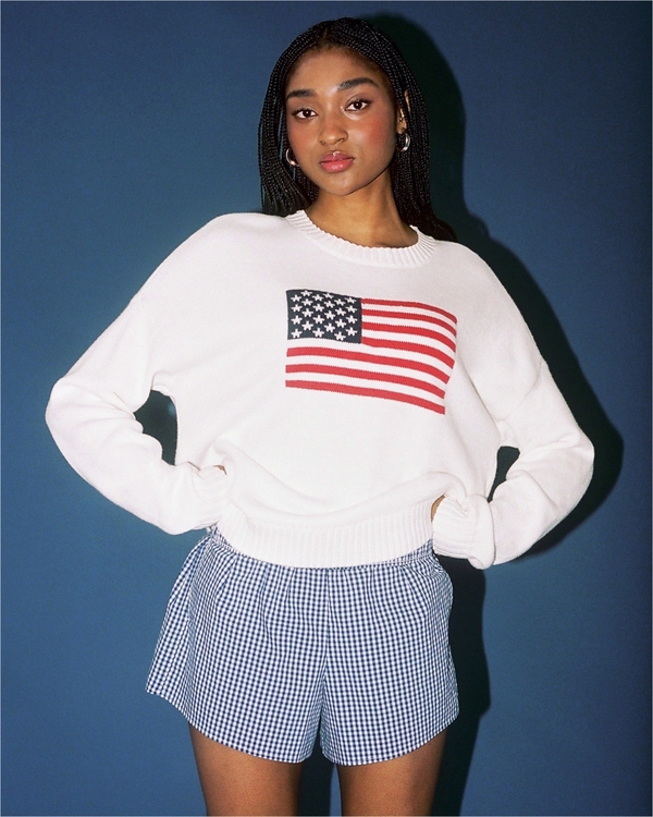 American Flag Graphic Crew Sweater