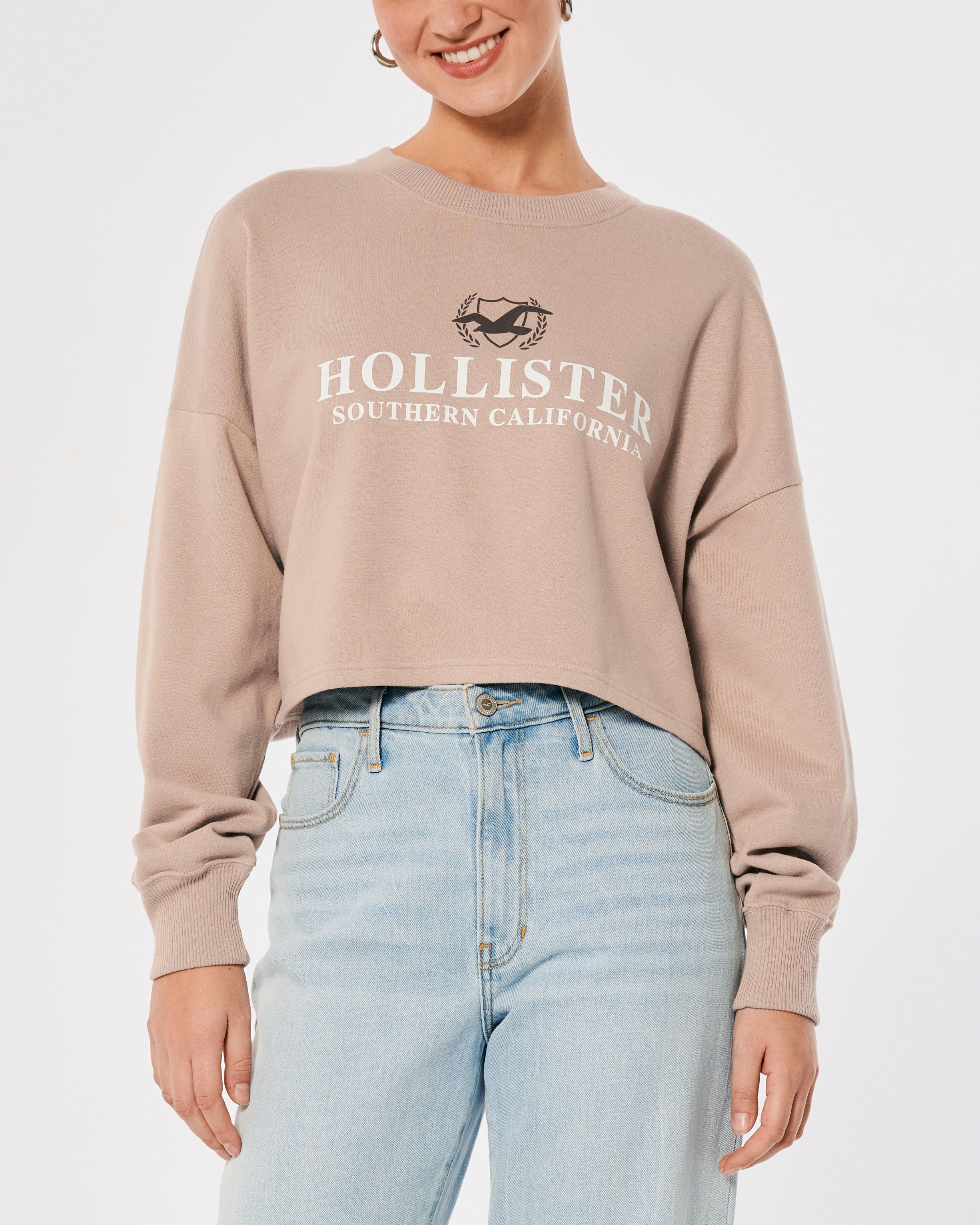 Hollister boyfriend crewneck discount sweater