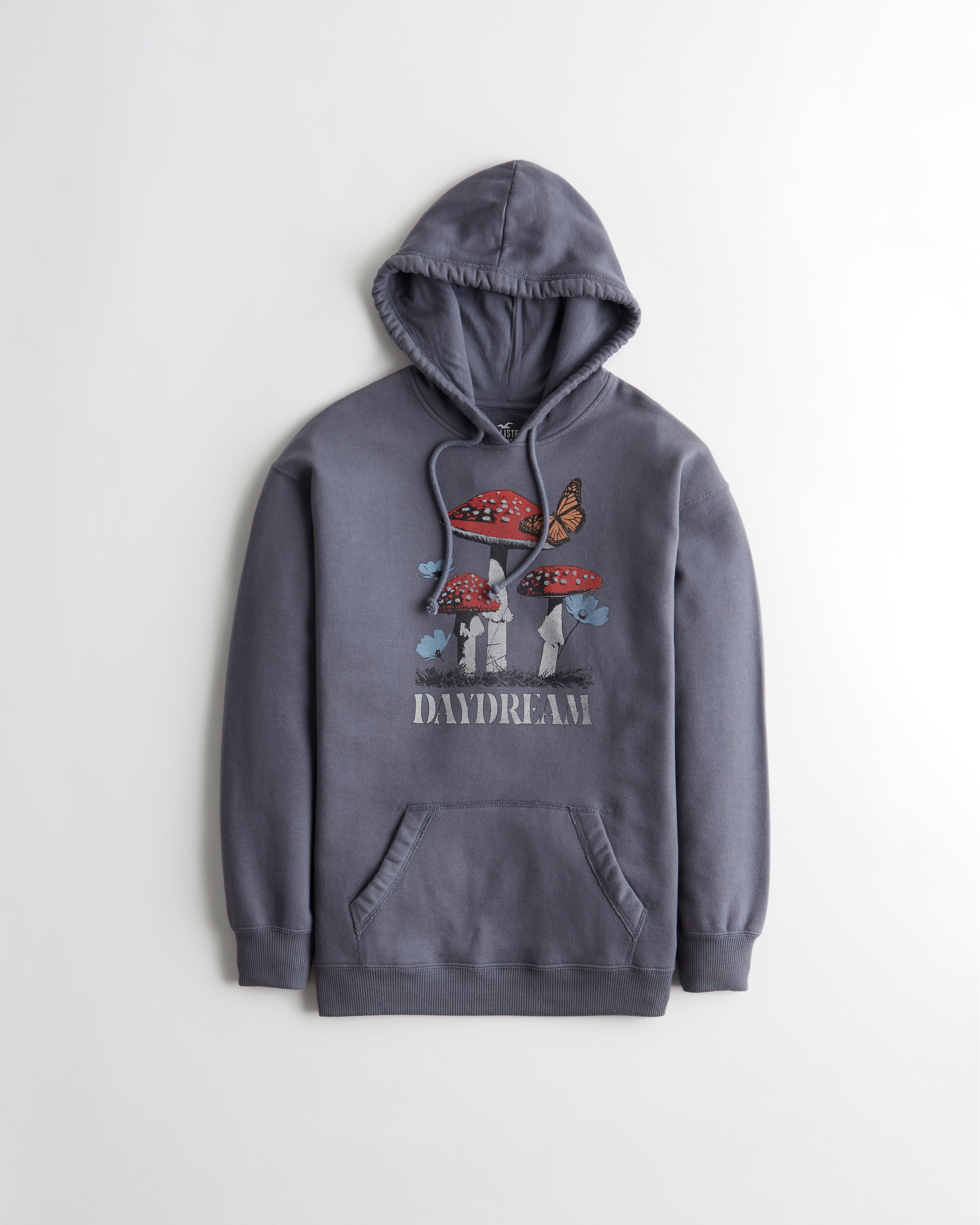 Hollister Oversized Retro Graphic Hoodie | Bramalea City Centre