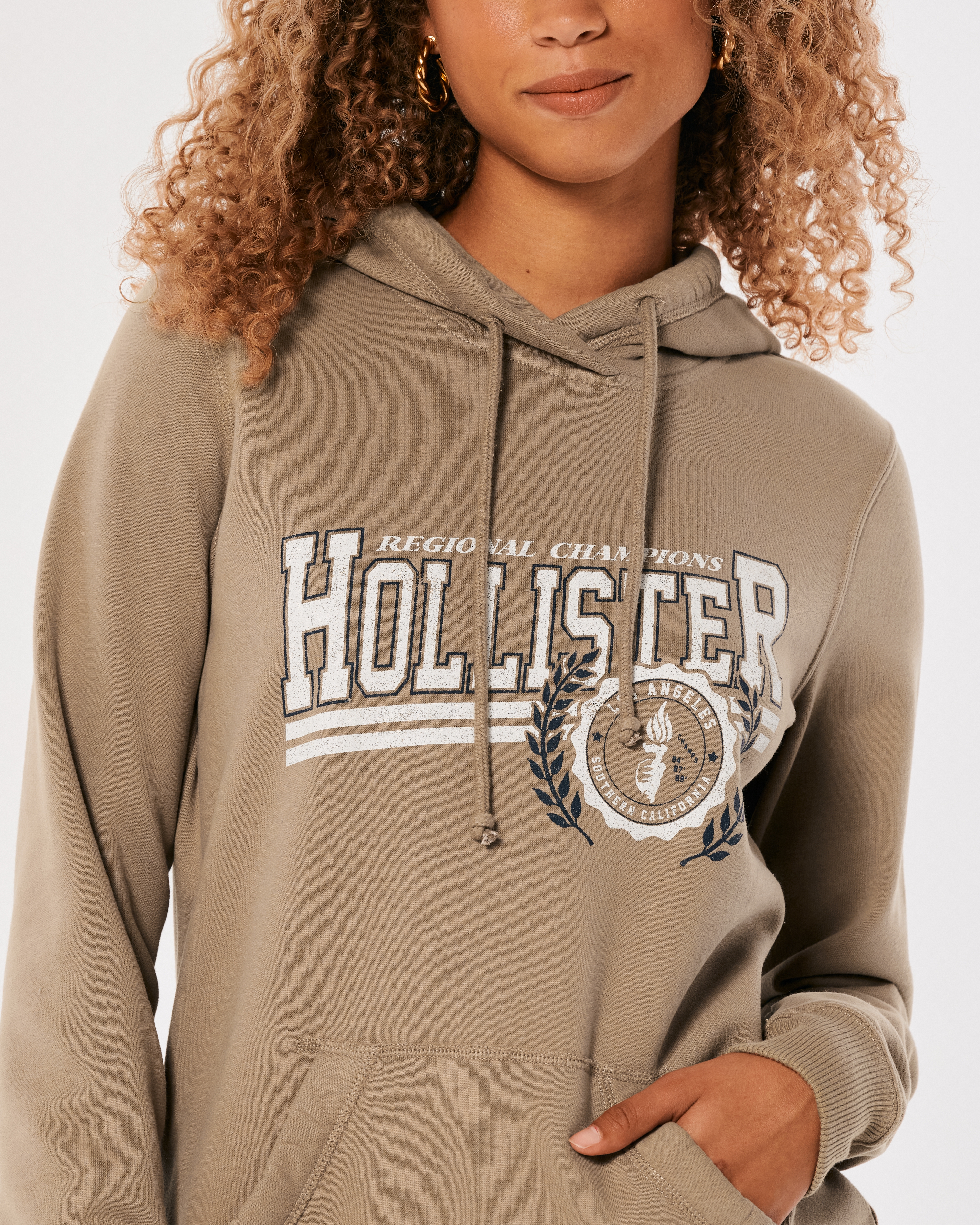 Hollister print logo discount hoodie