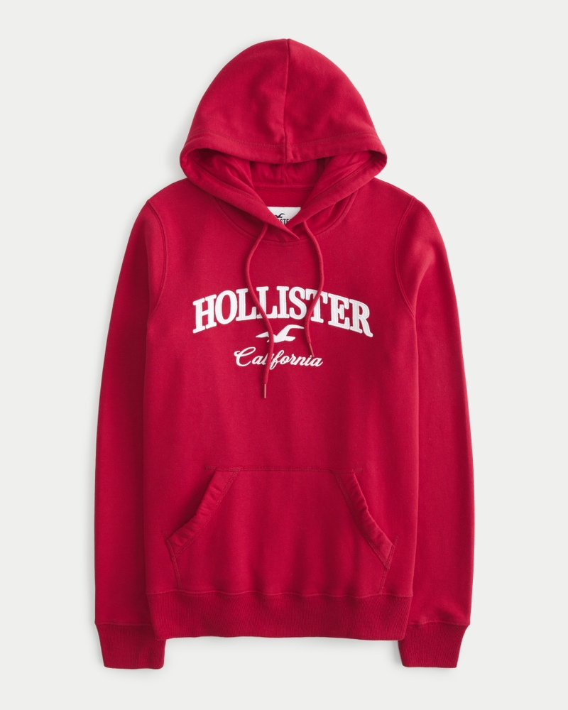 Hollister Overhead Hoodie With Sleeve & Back Logo in Rhubarb