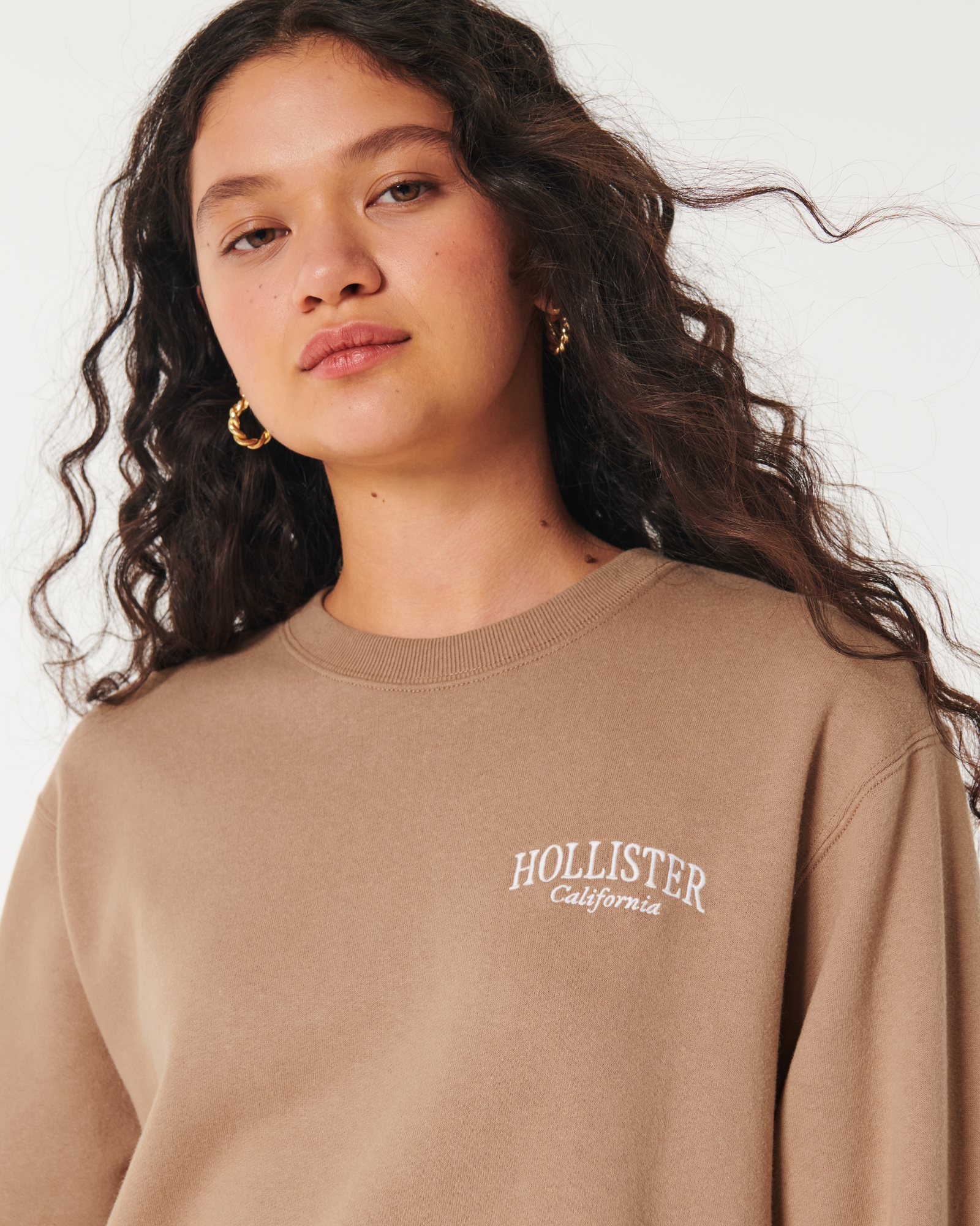 Hollister California Women Graphic Logo Applique Embroidered crop crew  Sweatshirt light brown Size Medium M, Light Brown, M : :  Clothing, Shoes & Accessories