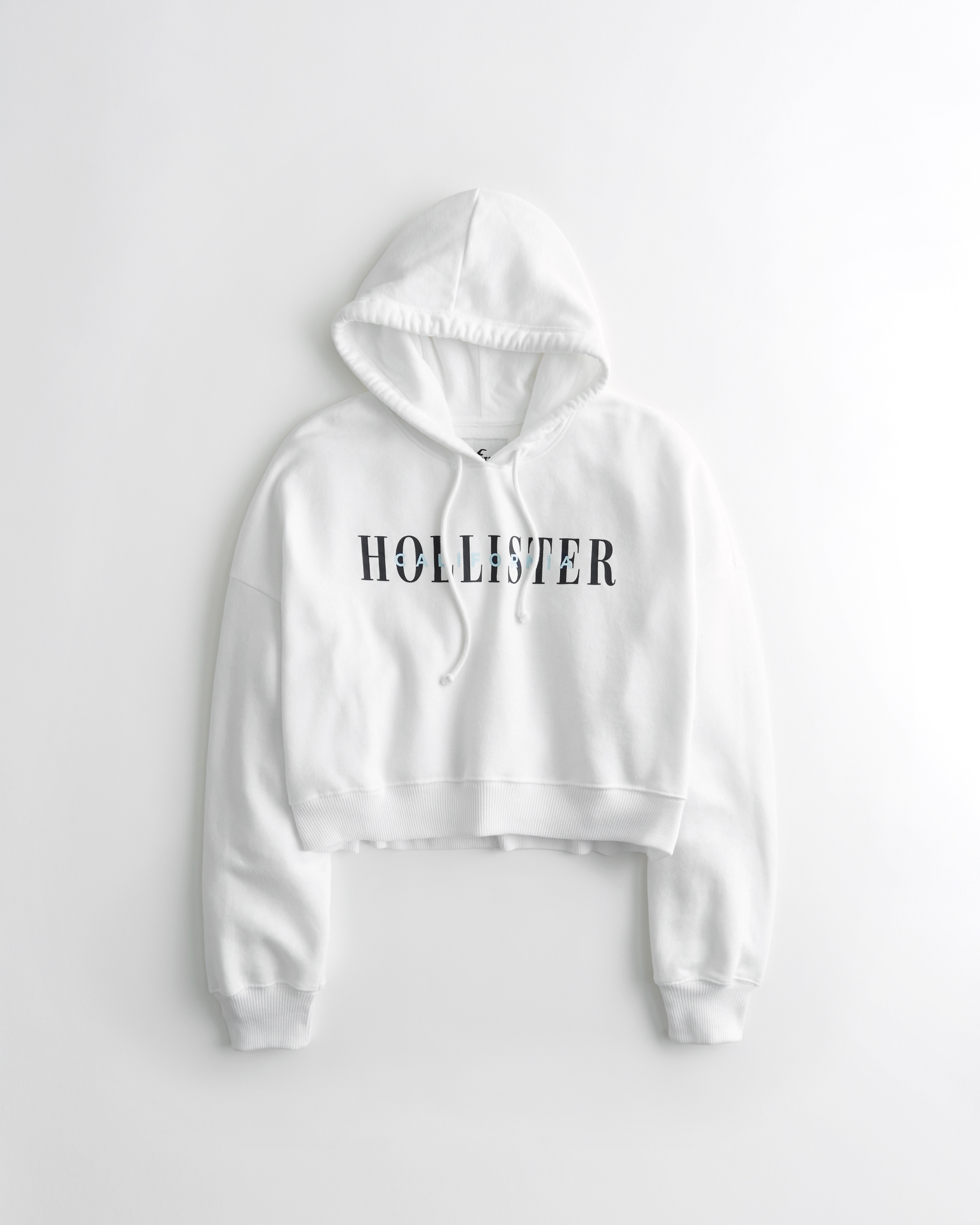 hollister teddy hoodie