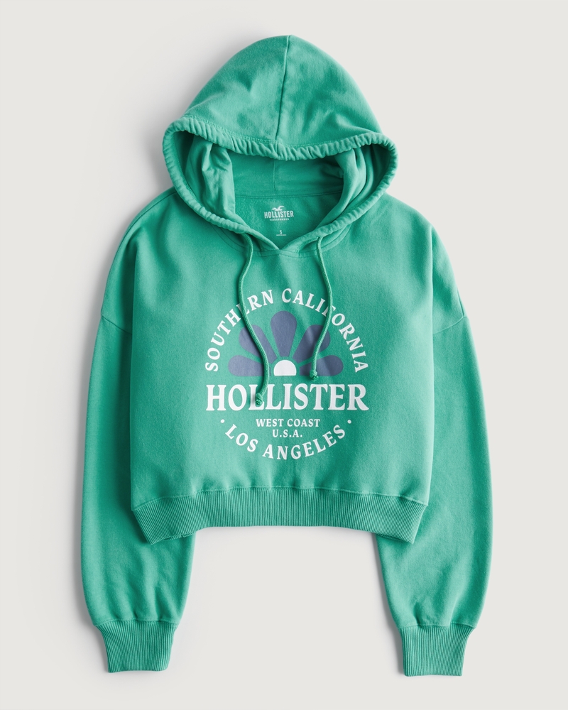 Hollister best sale charli hoodie