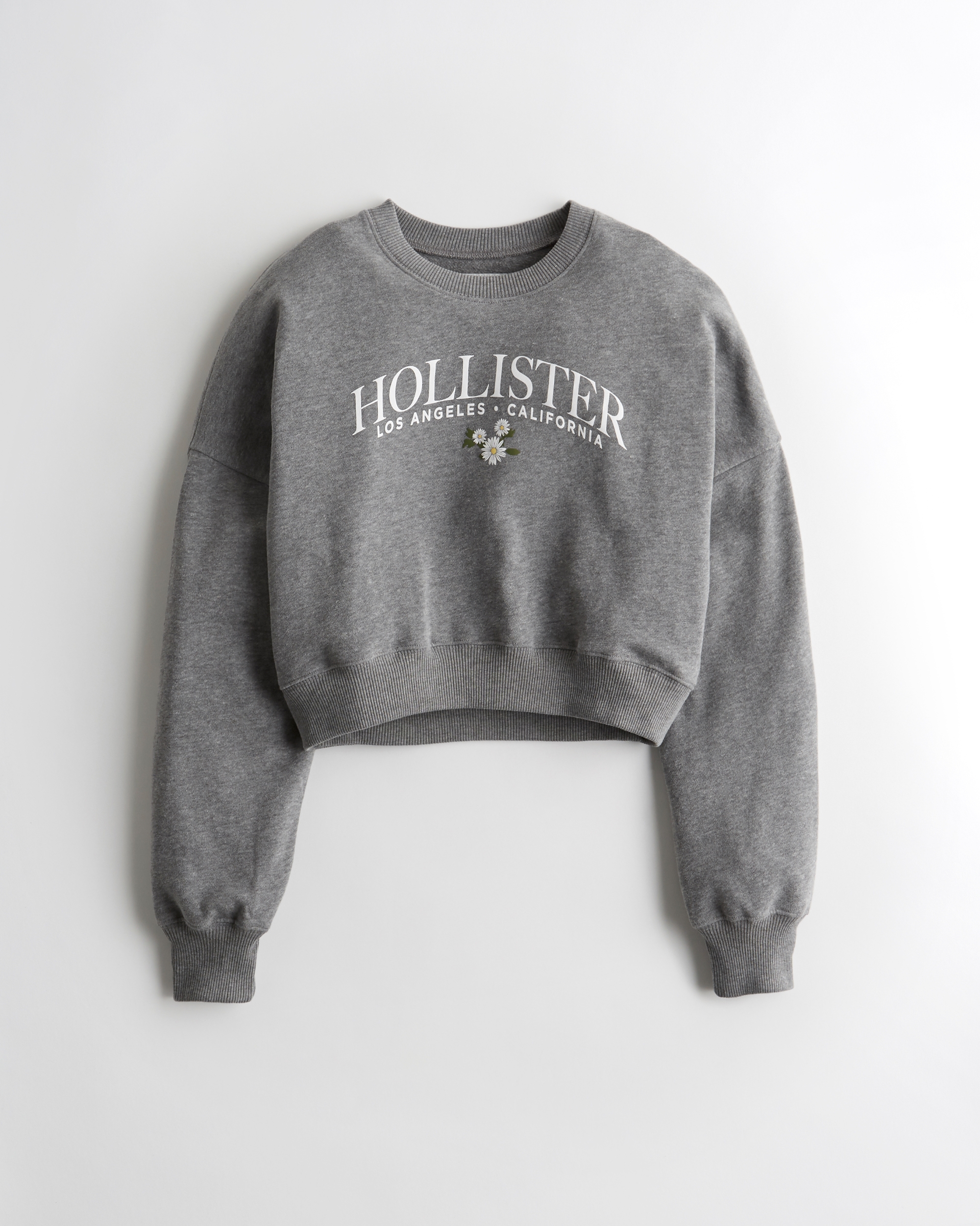 crew neck hollister