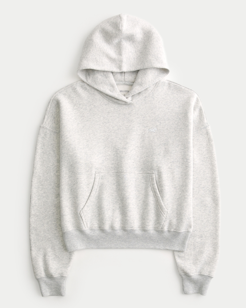 Icon hoodie hollister on sale