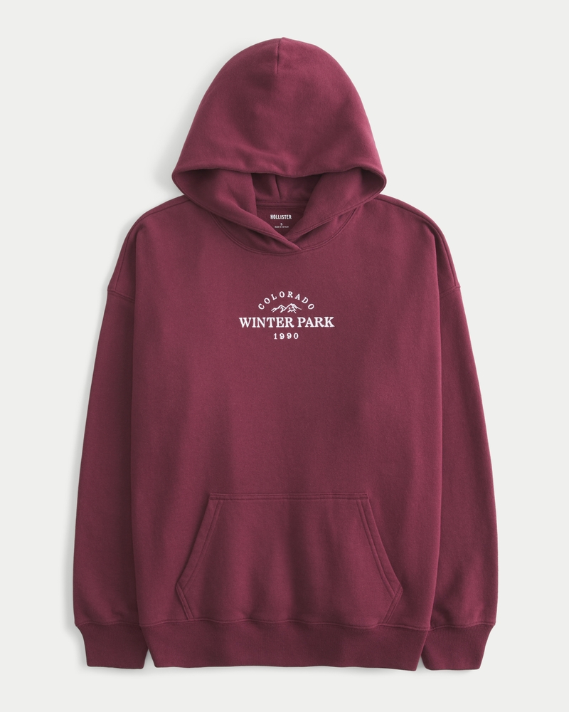 Purple hollister hoodie online