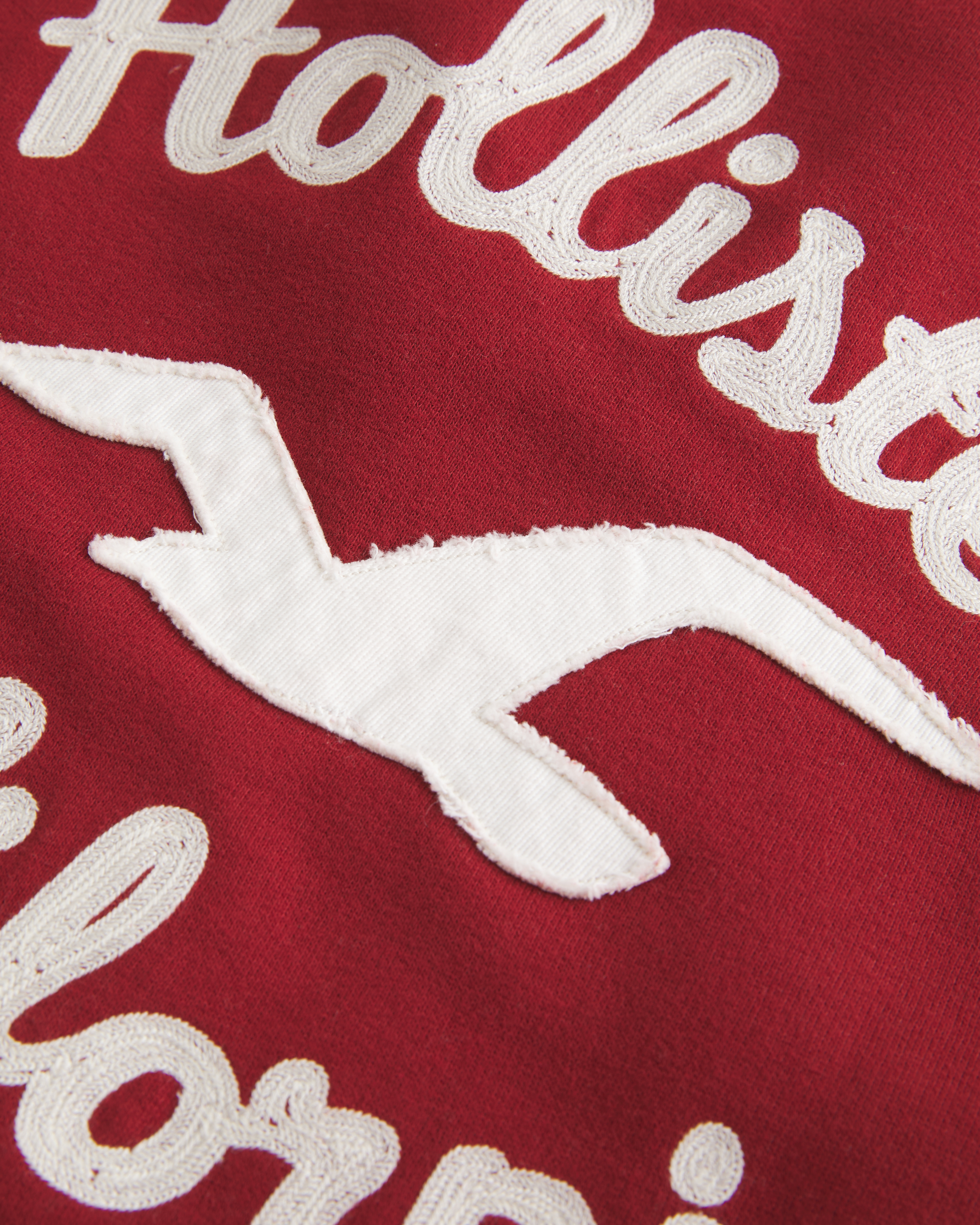 Hollister Holiday Vault Release Sherpa-lined Zip-up Logo Graphic Hoodie