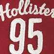 Hollister Holiday Vault Release Sherpa-lined Zip-up Logo Graphic Hoodie