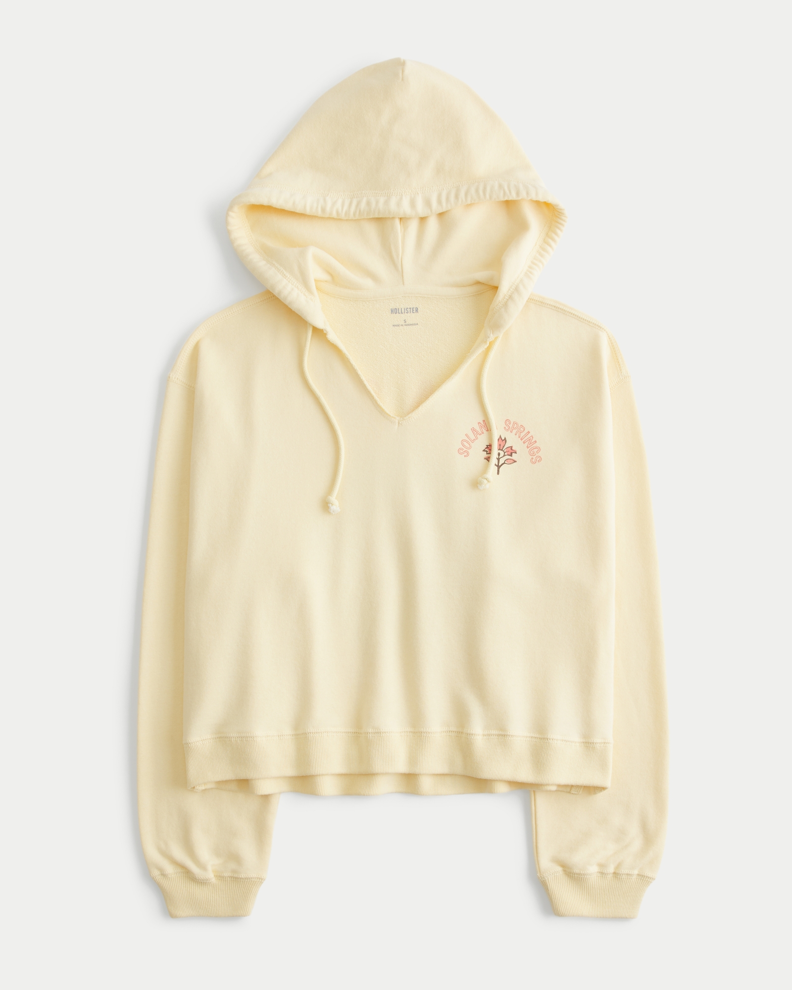 Women's Hollister Feel Good Easy Solana Springs Graphic Hoodie