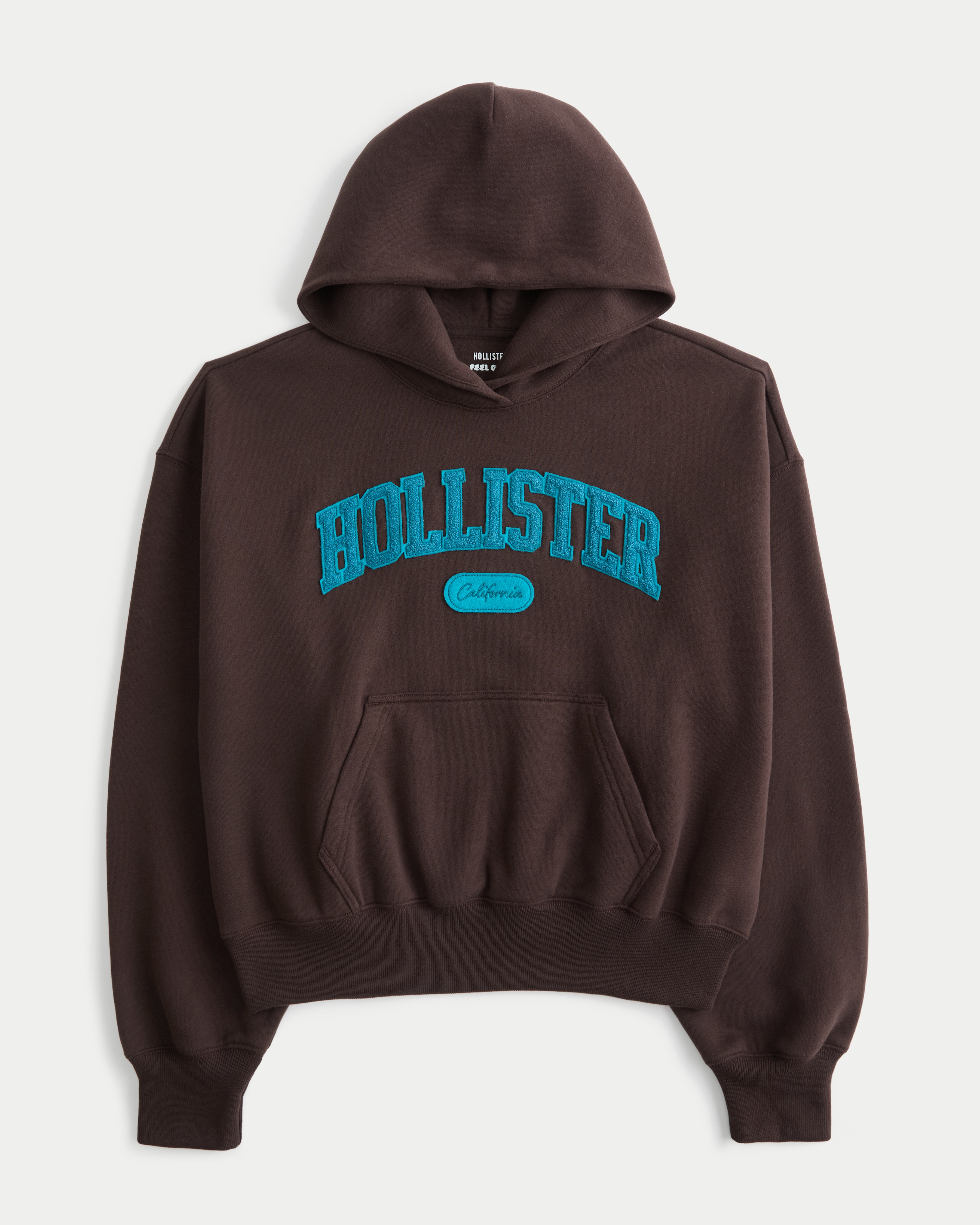 Hollister Feel Good Iconic Logo Graphic Hoodie