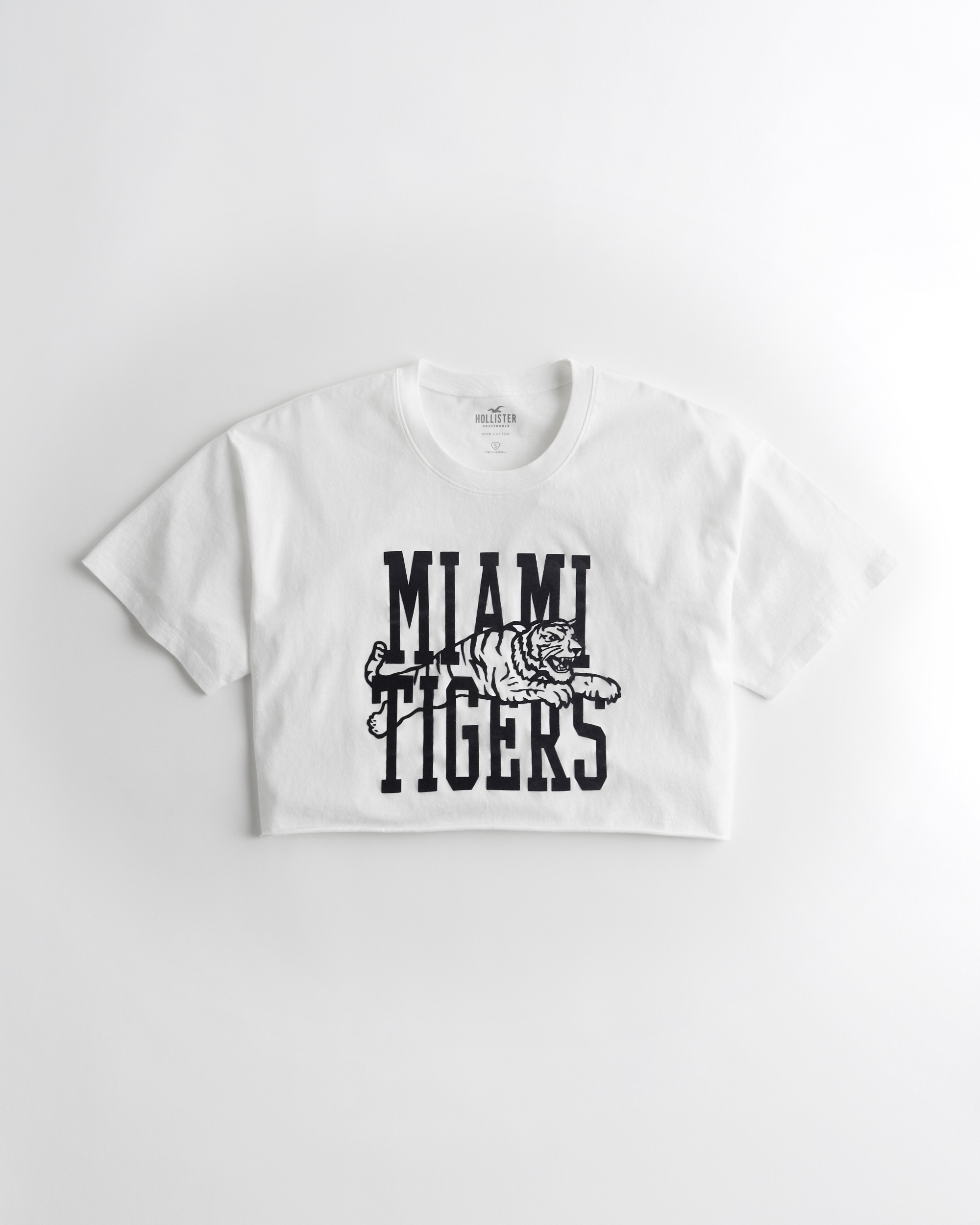 hollister shirt sale