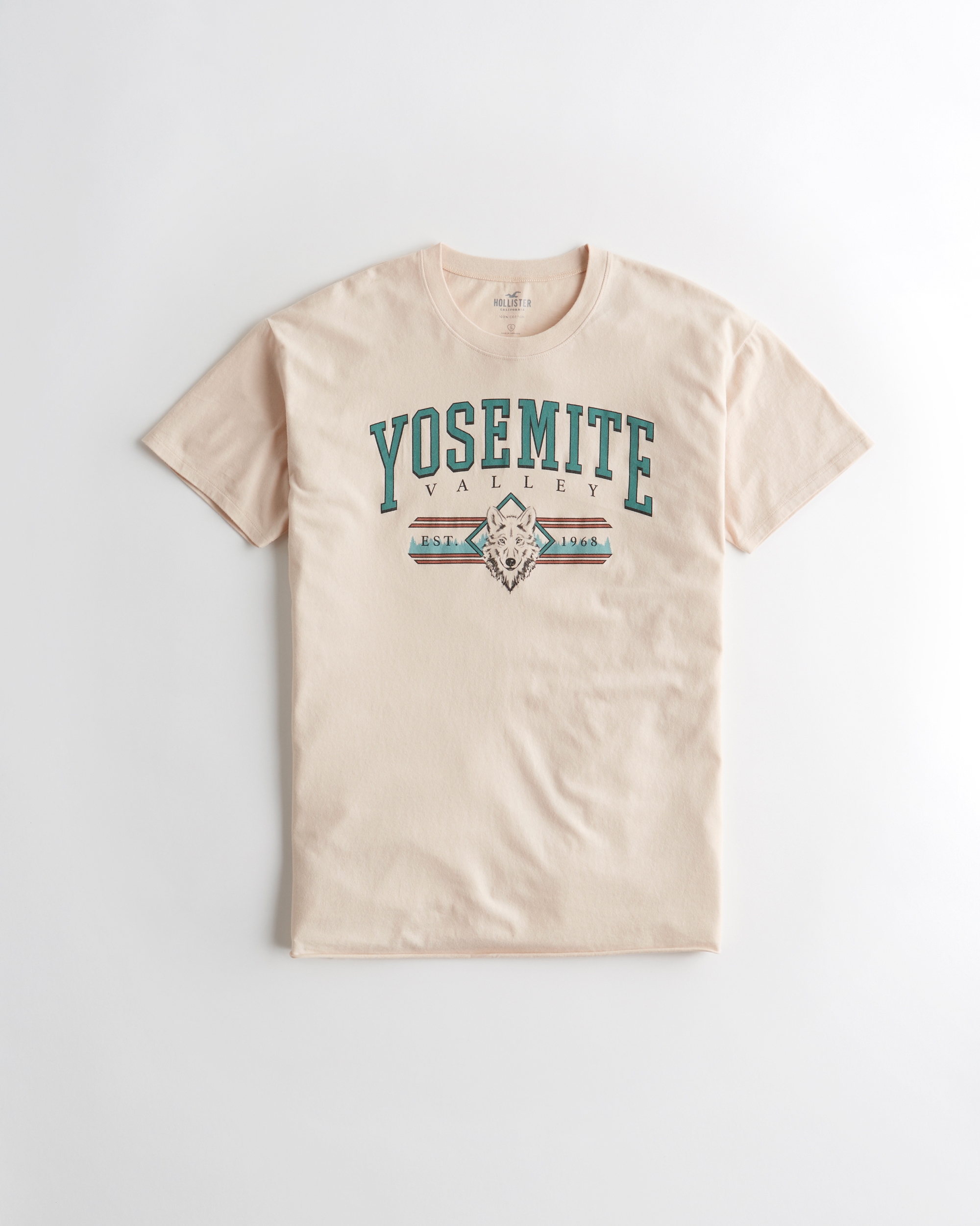 hollister girls shirts