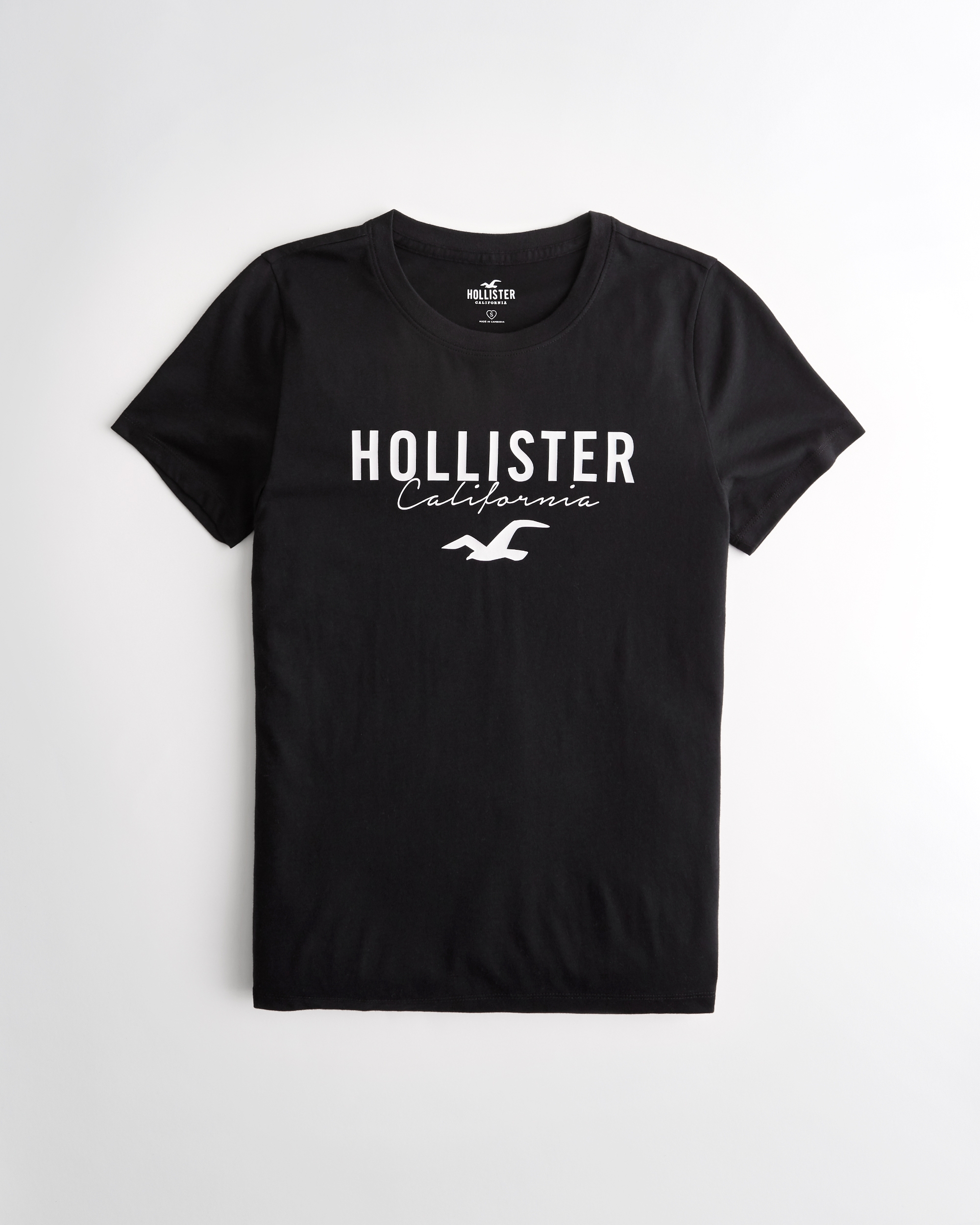 hollister tees