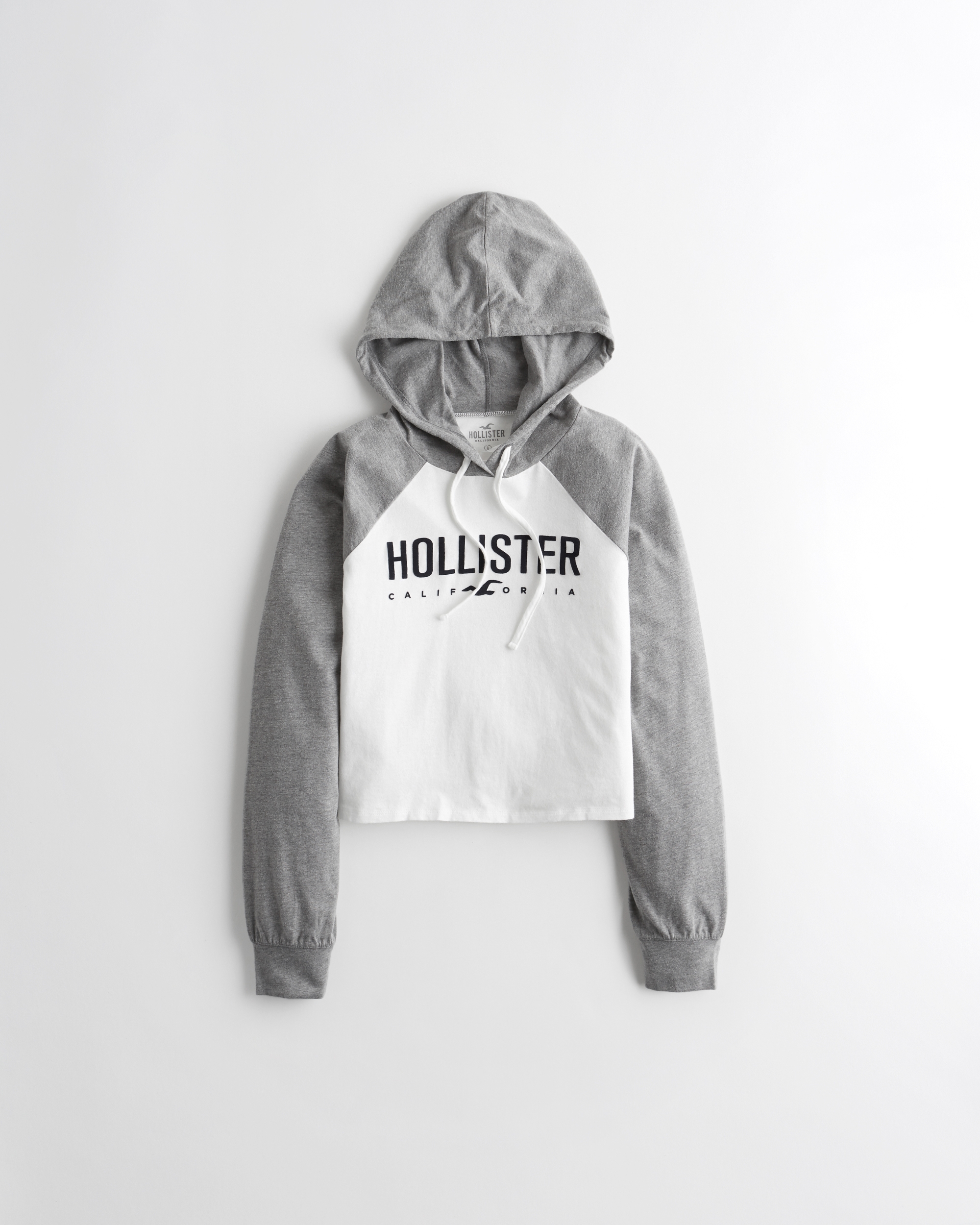 hollister colorblock logo hoodie