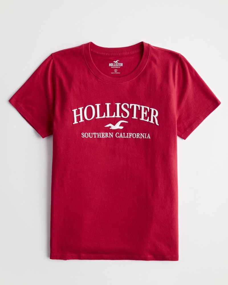 Hollister t best sale shirt rayé