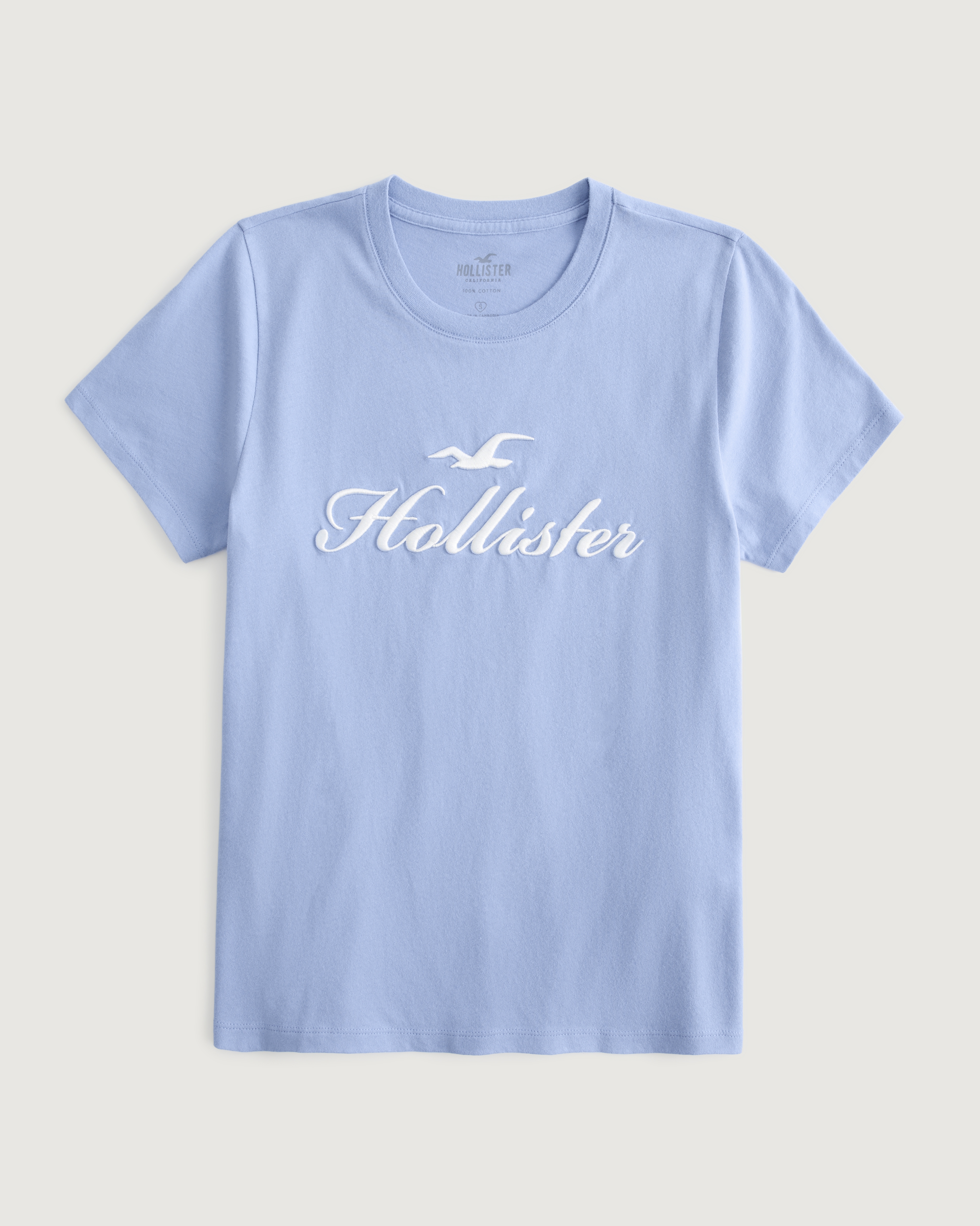 Hollister box hot sale logo tee