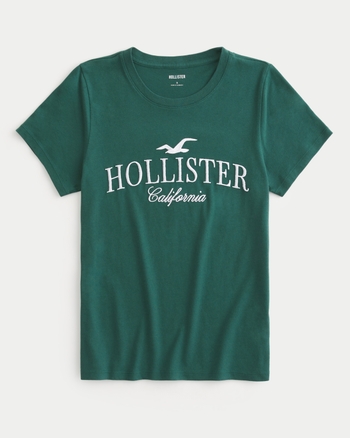 Hollister t shirt logo new arrivals
