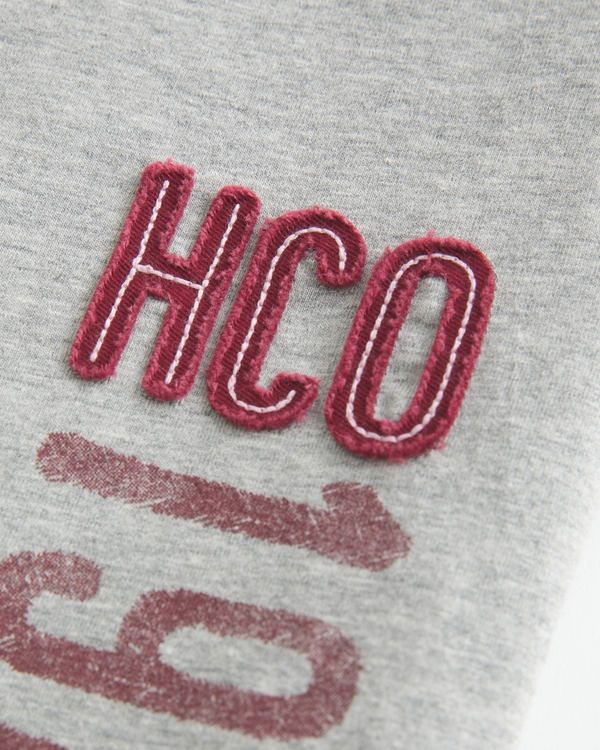 Women's Logo Graphic Slash-Neck Tee | Women's Tops | HollisterCo.com