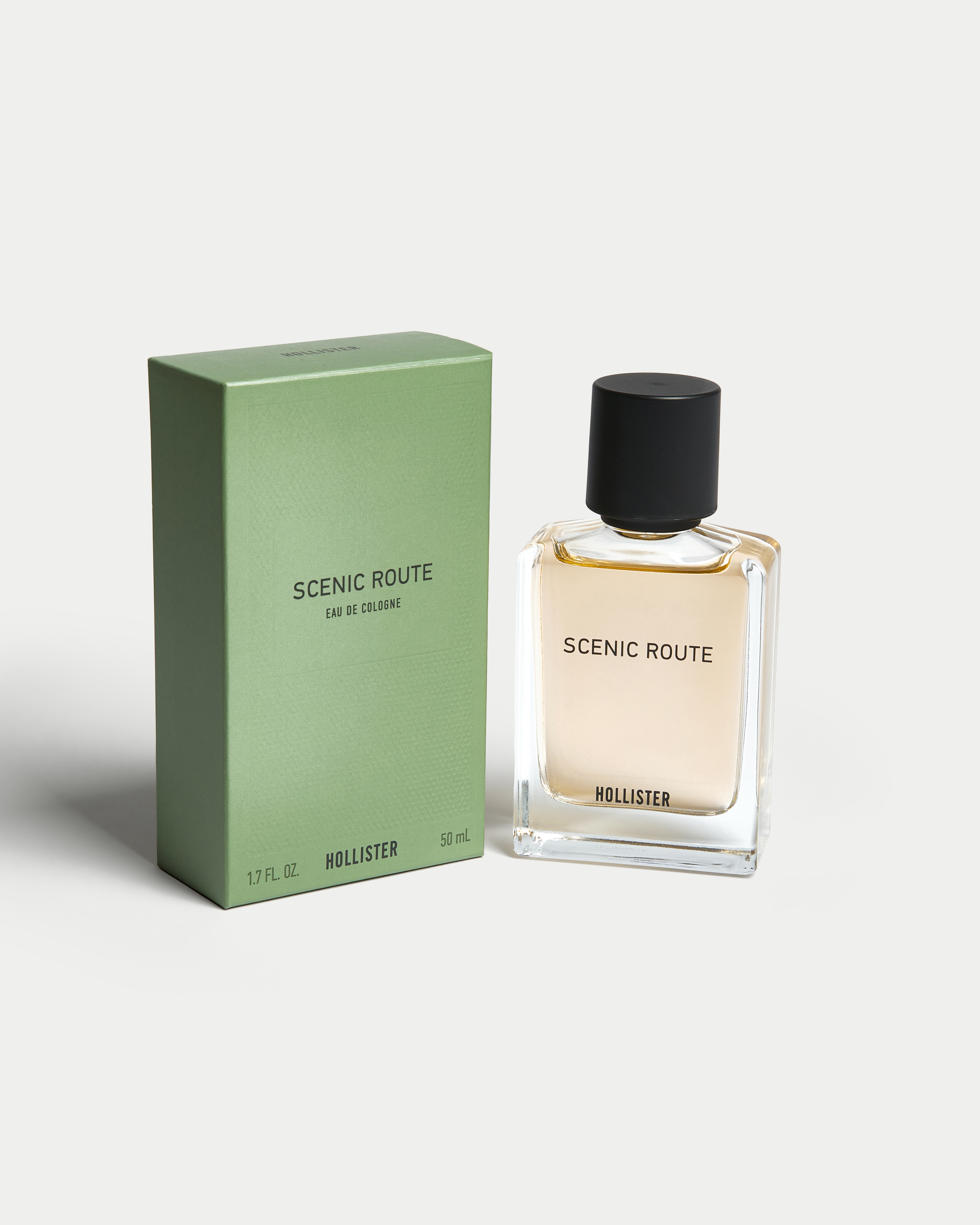 Scenic Route Cologne