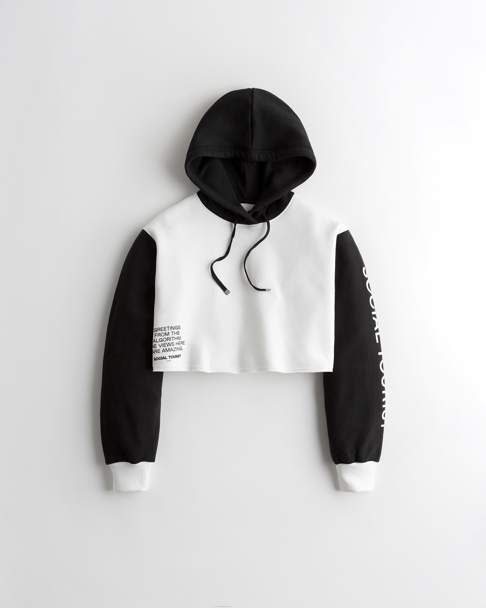 charli hollister hoodie
