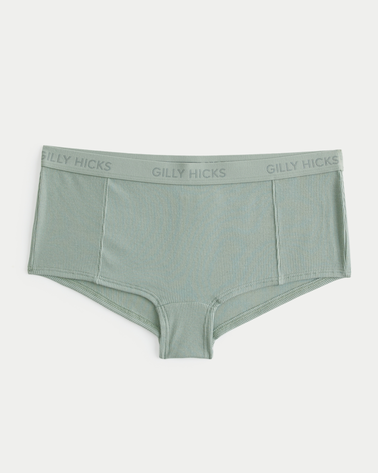 Gilly Hicks, Intimates & Sleepwear, Gilly Hicks Ribbed Bikini Panty  Underwear Logo Waistband Grey Xs Hollister