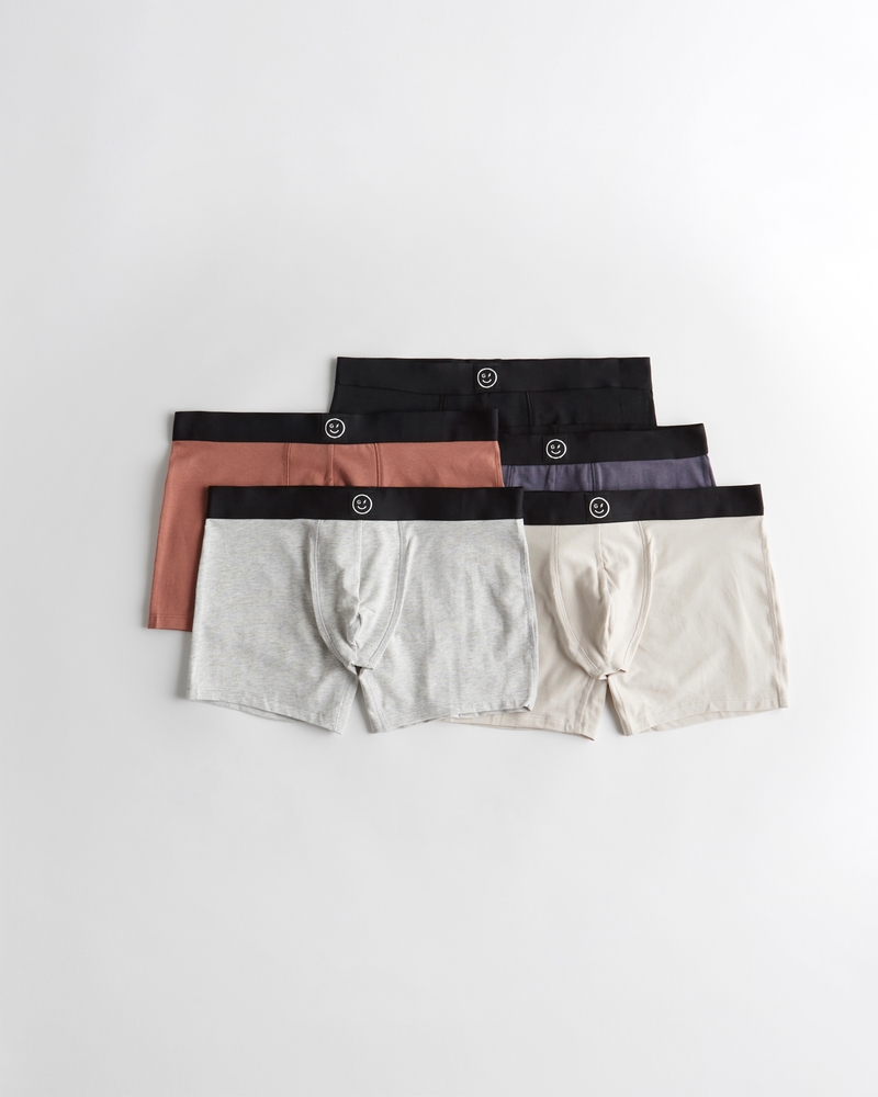 Men's Gilly Hicks Cotton Modal Blend Boxer Brief 5Pack Men's