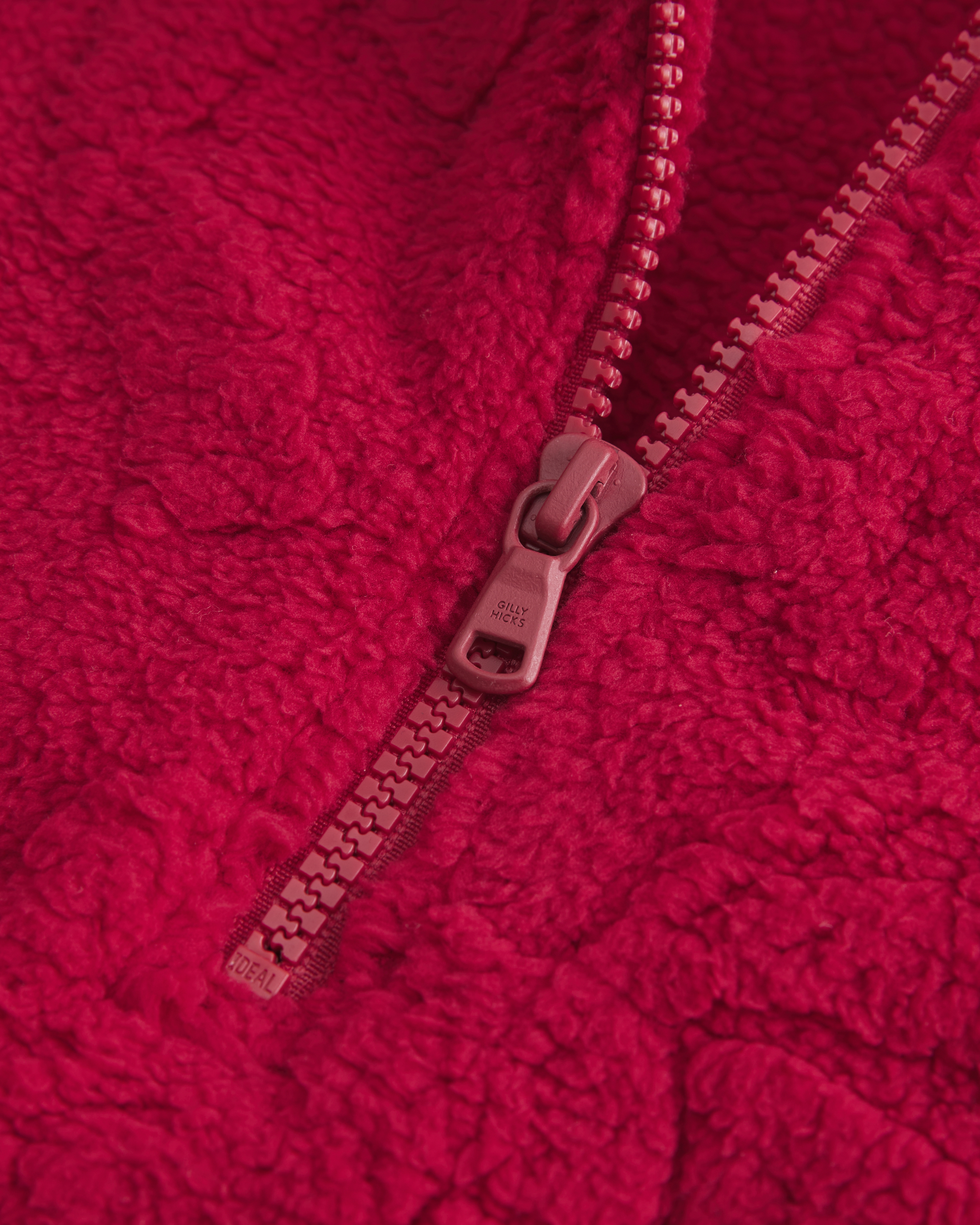 Gilly Hicks Sherpa Quarter-zip Sweatshirt