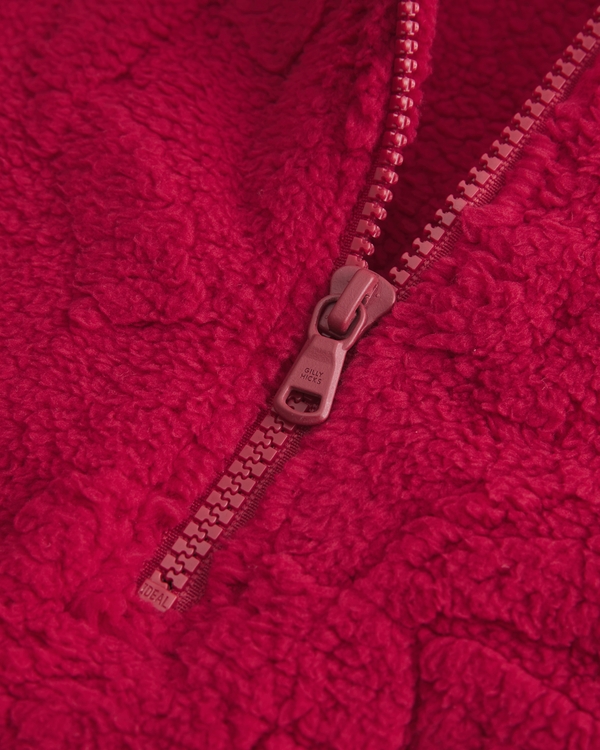 Gilly Hicks Sherpa Quarter-Zip Sweatshirt