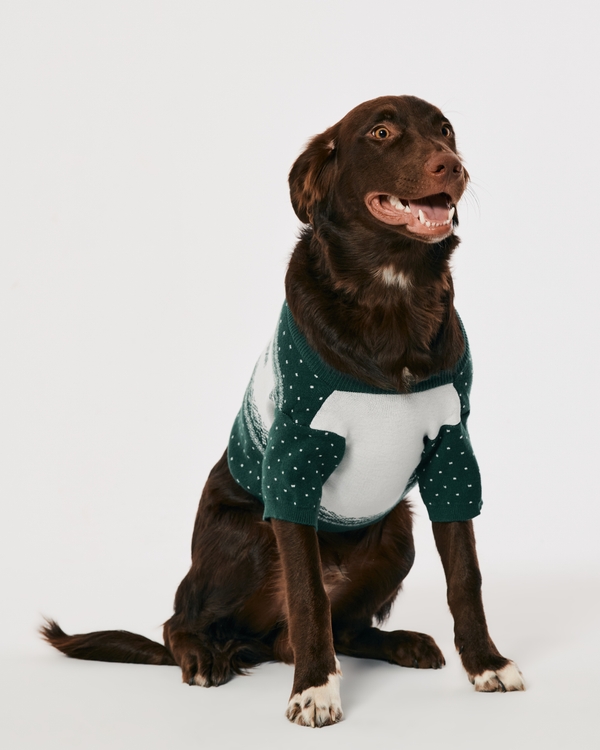 Gilly Hicks Pet Sweater, Green Print