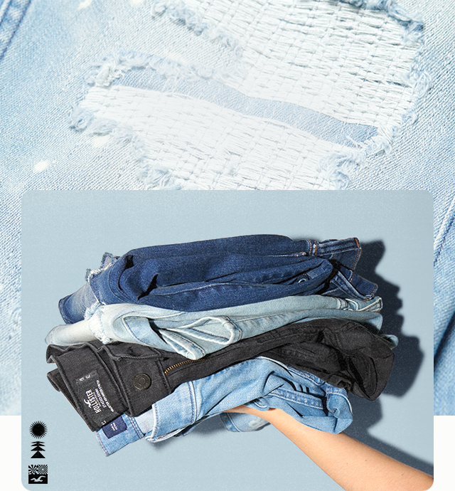 hollister website