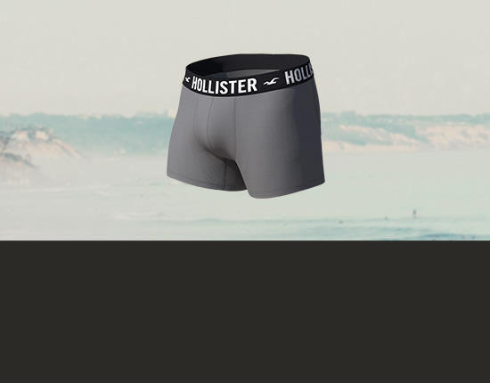 MENS HOLLISTER BOXER BRIEF UNDERWEAR SIZE Large NEW Gray